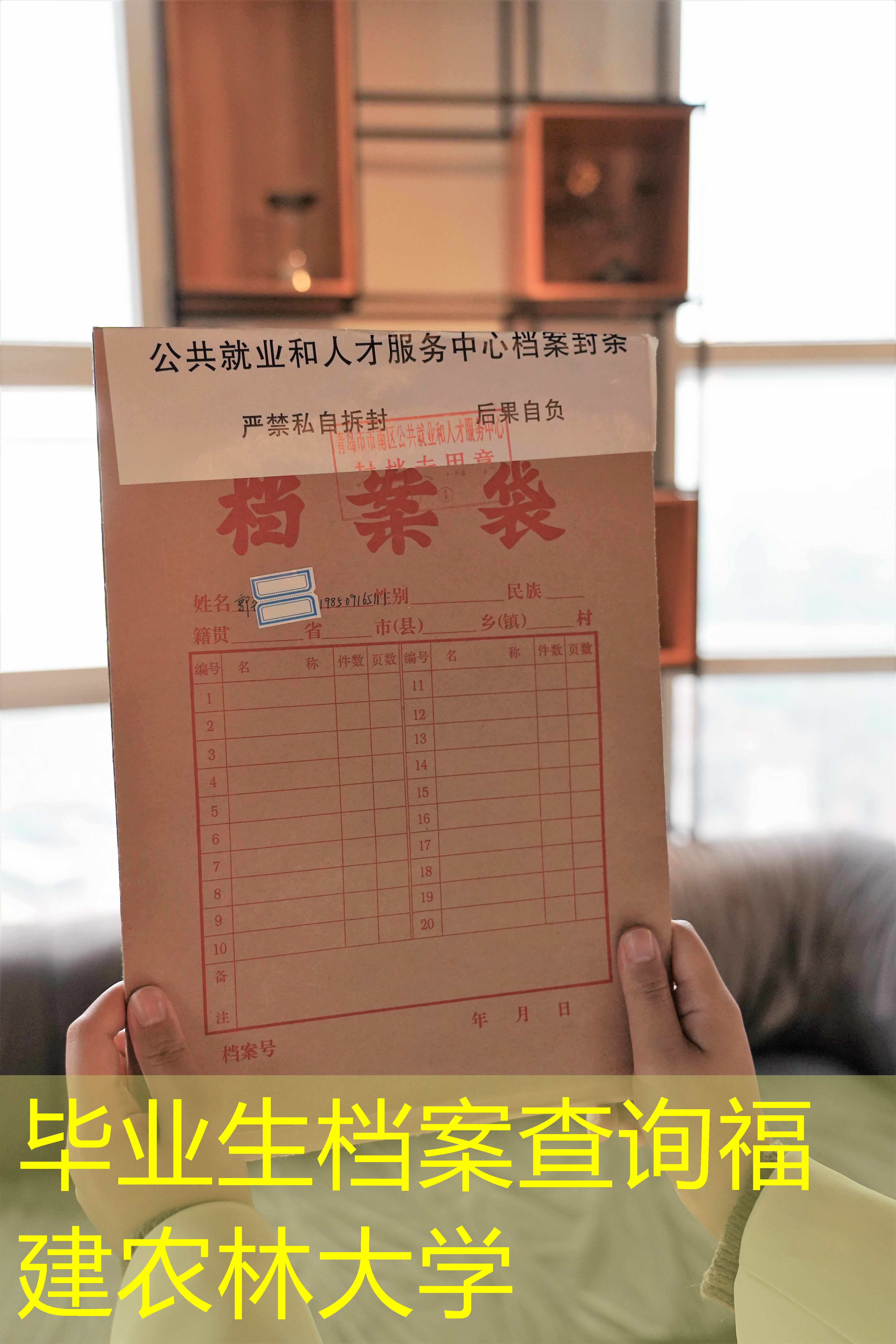 档案查询
