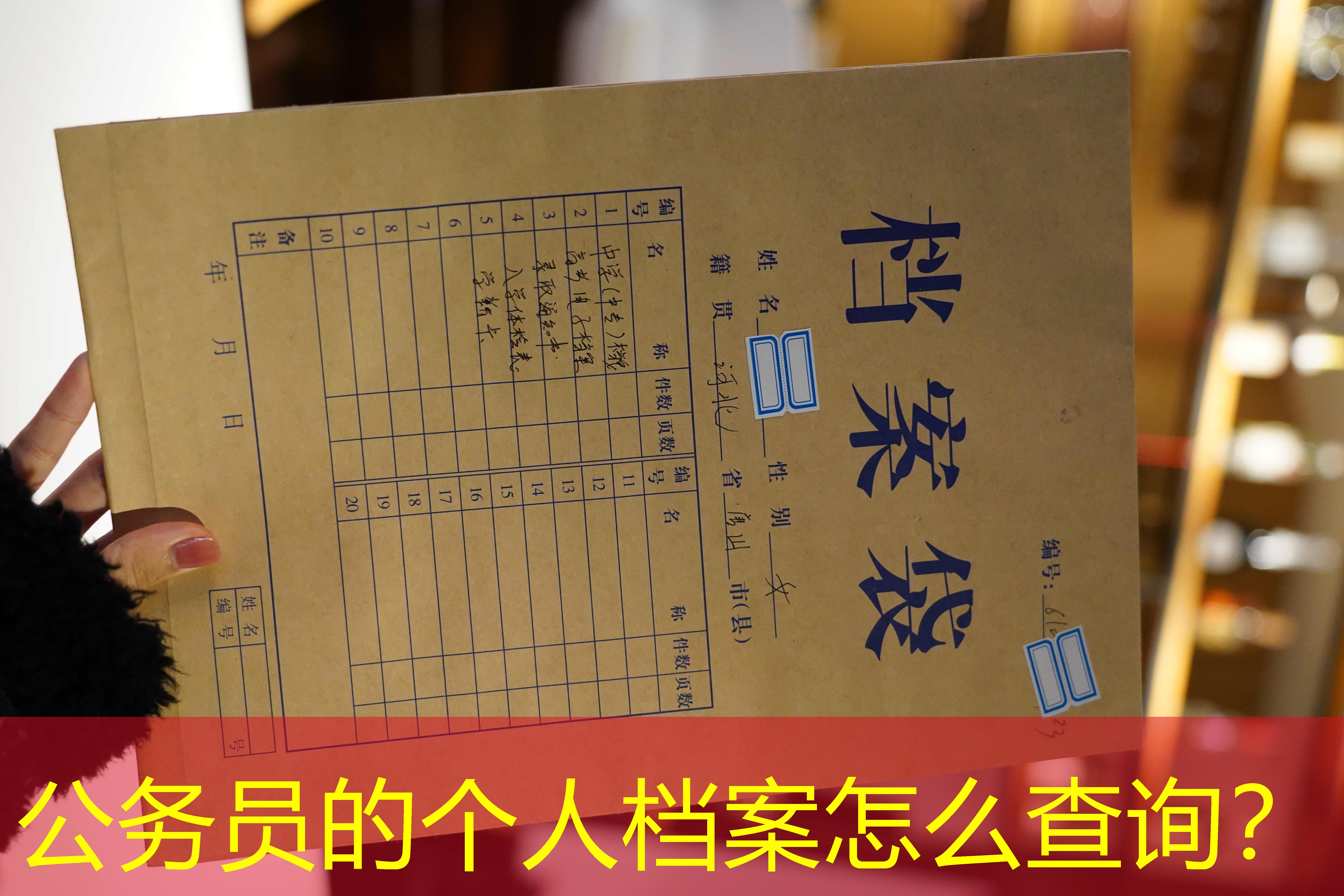 档案查询
