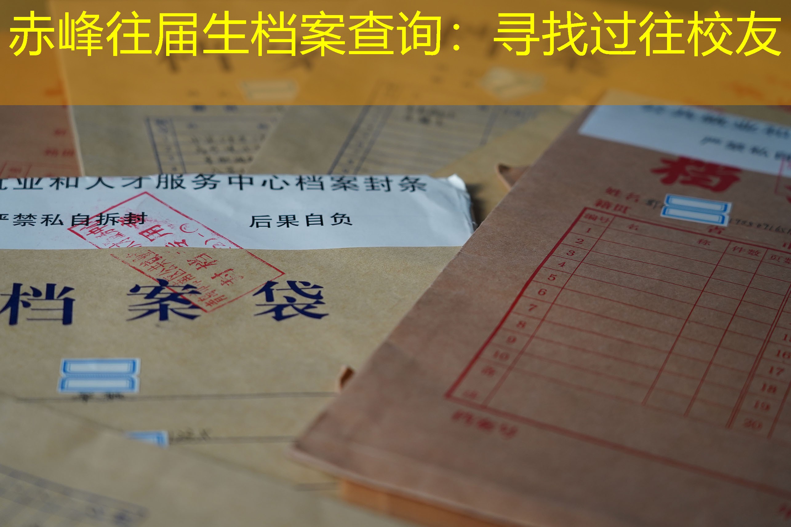 档案查询