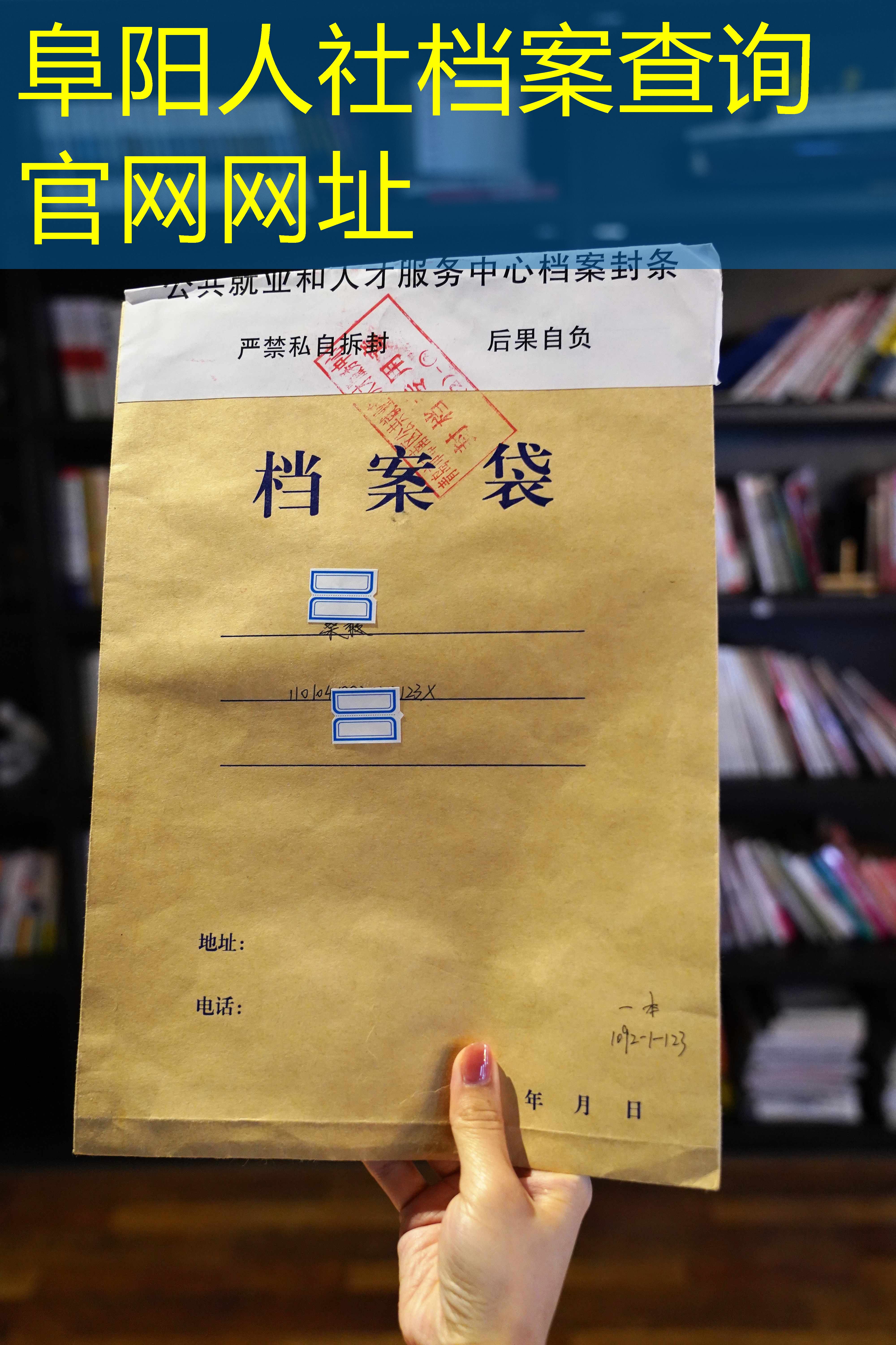 档案查询