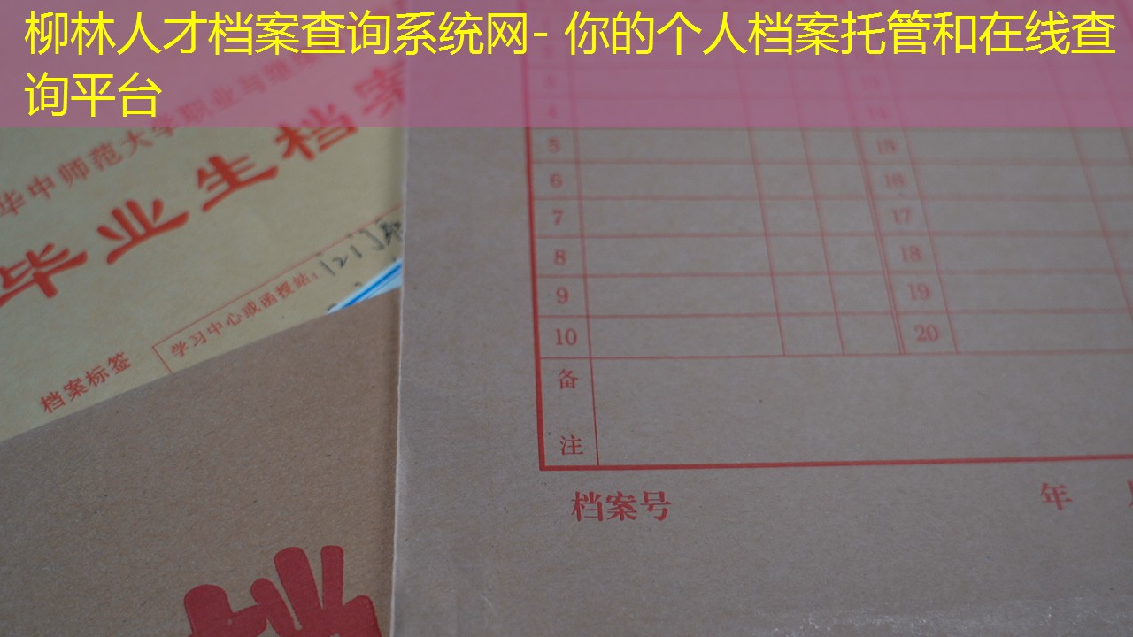 档案查询