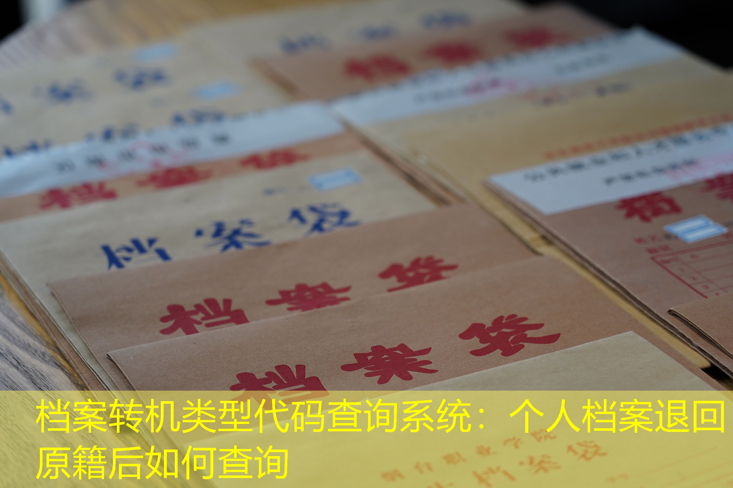 档案查询