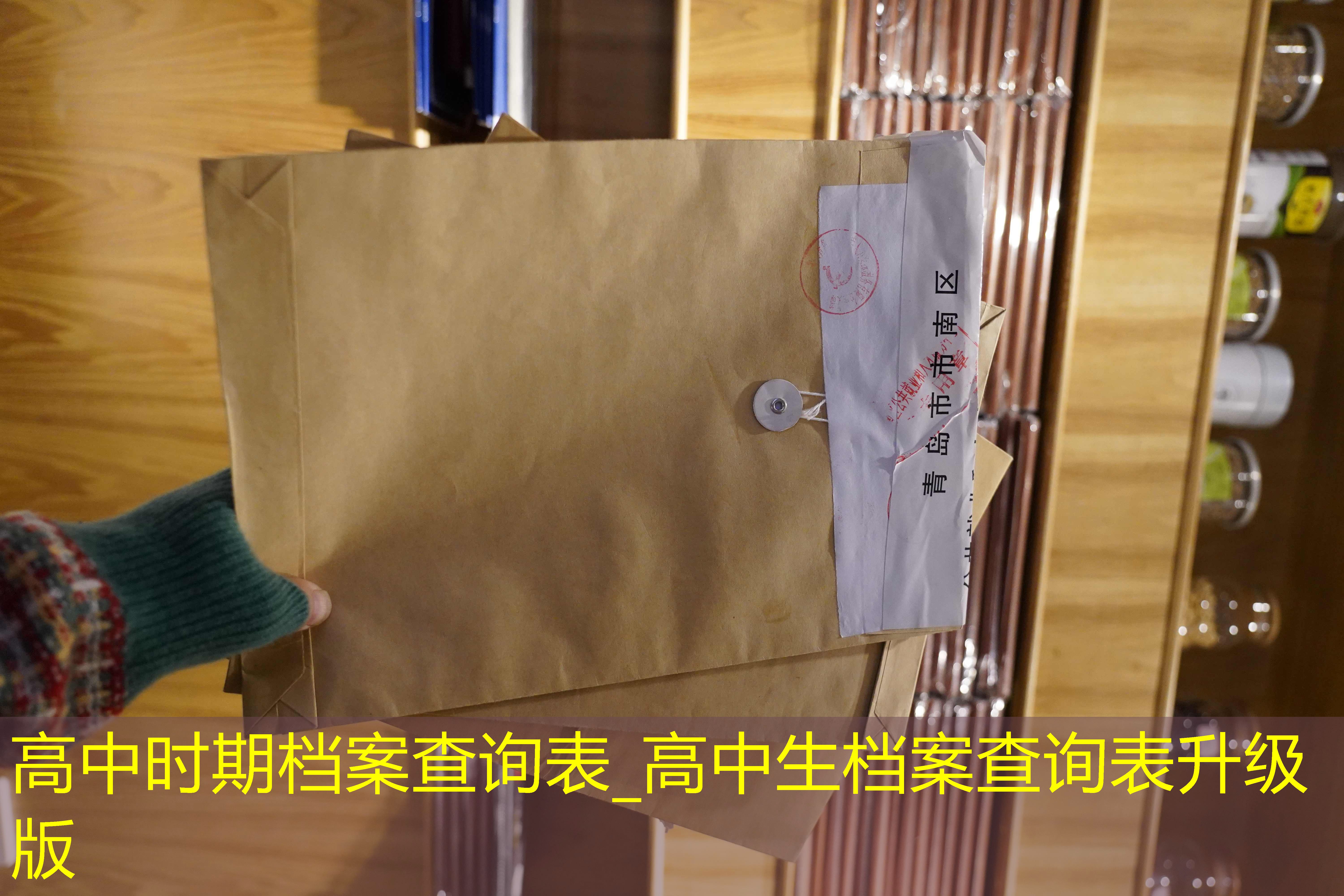 档案查询