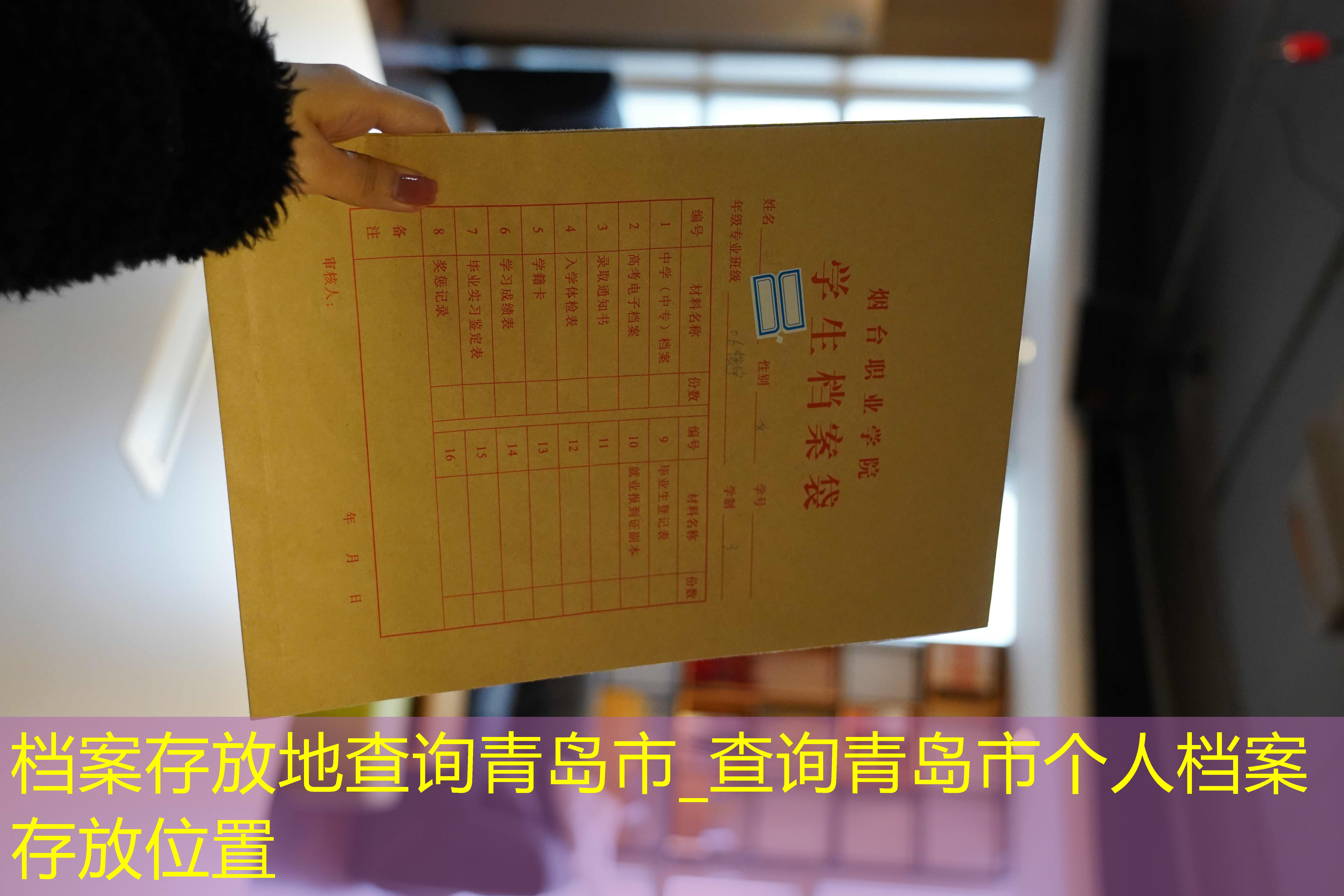 档案查询