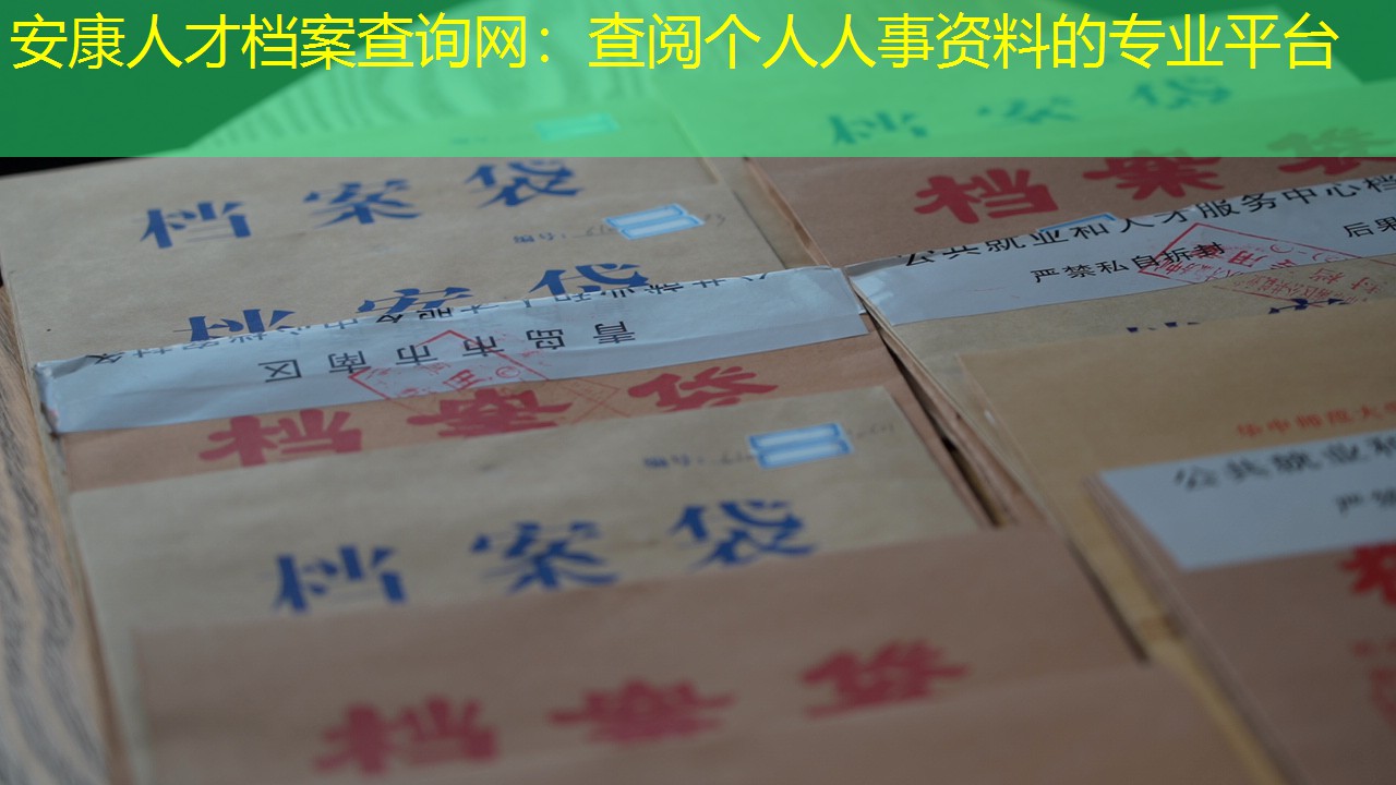 档案查询