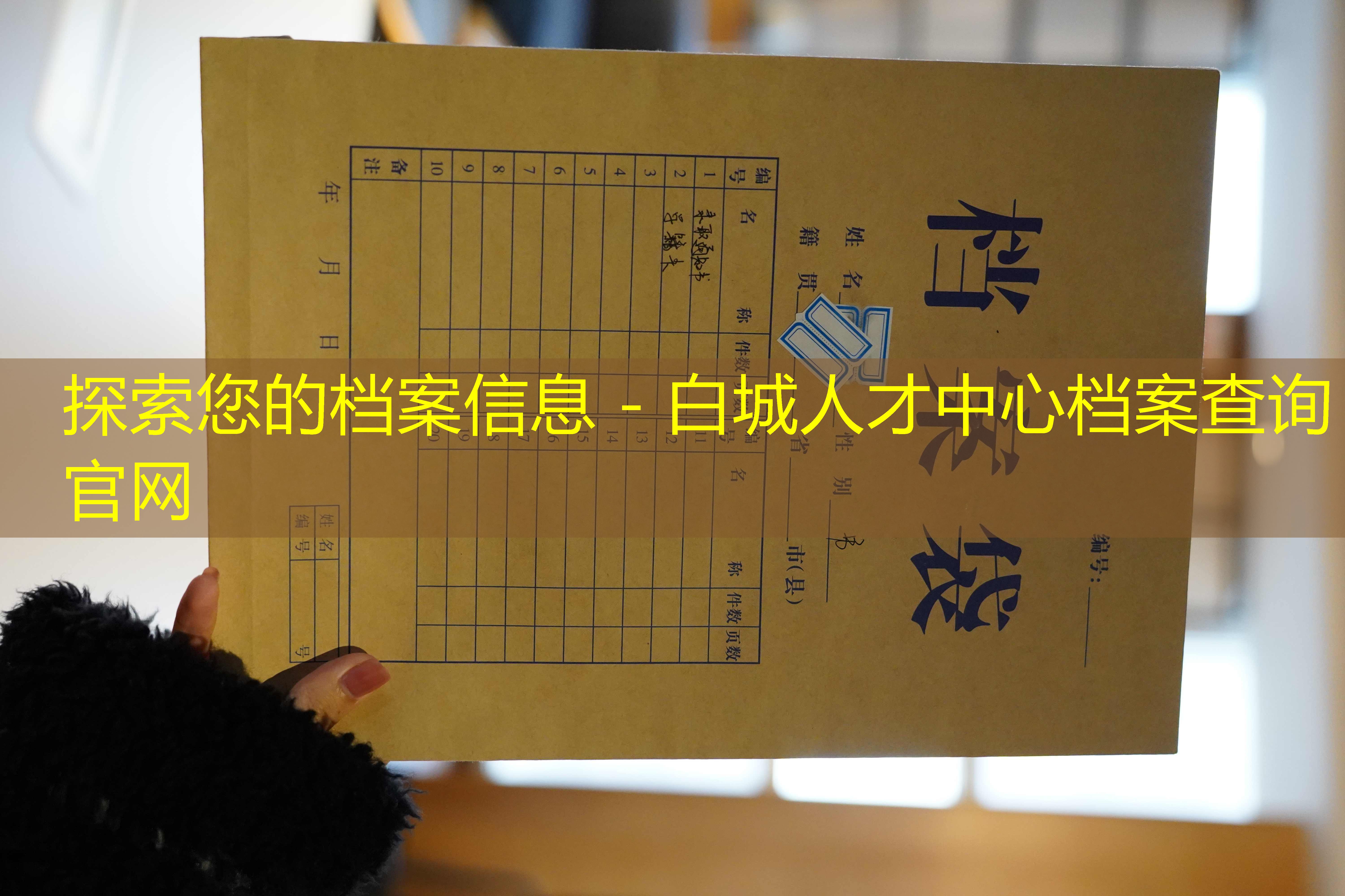 档案查询