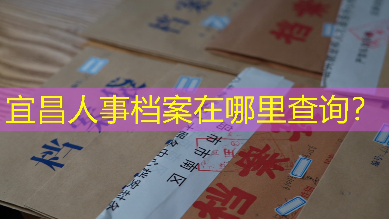 档案查询