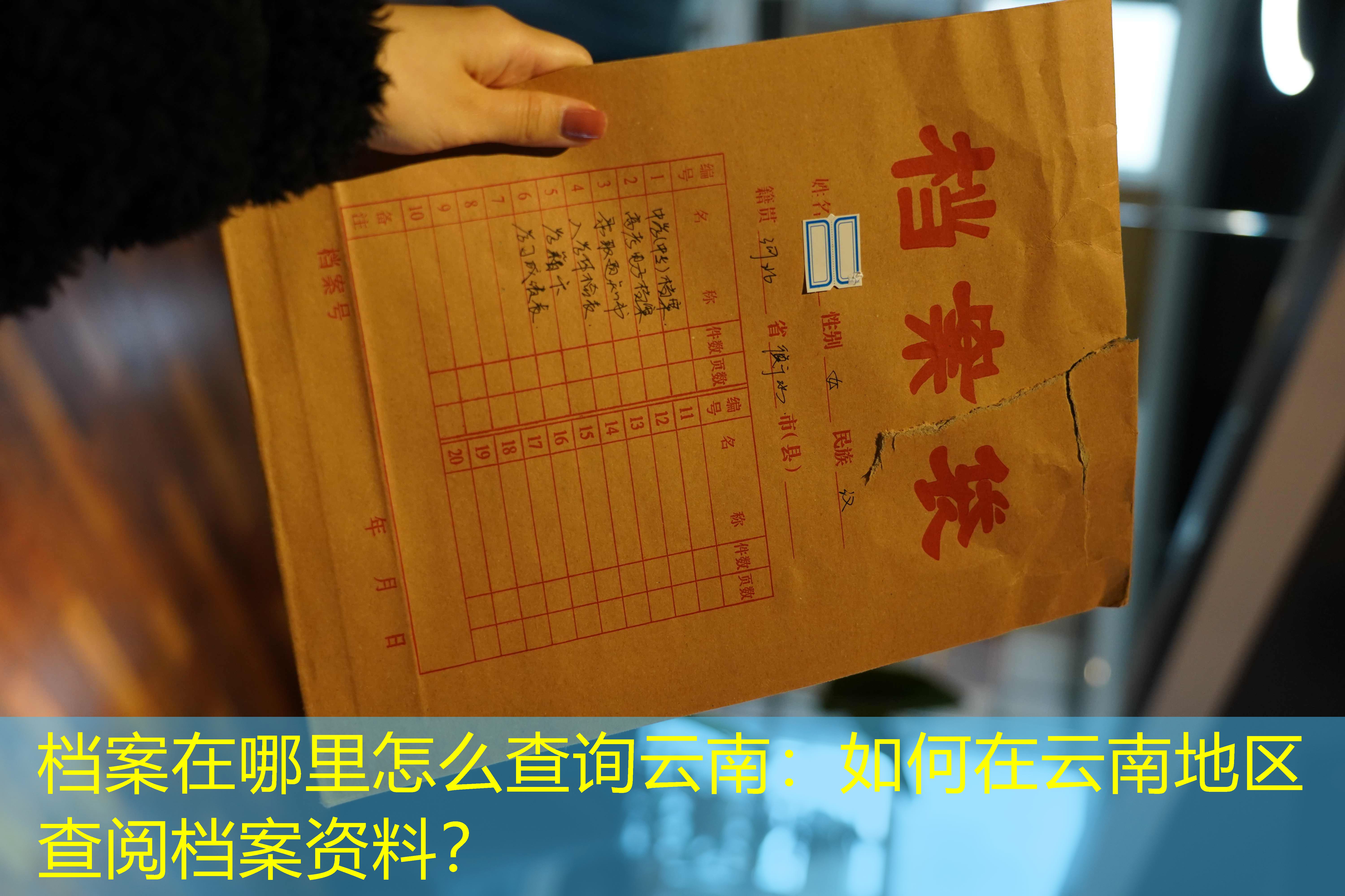 档案查询