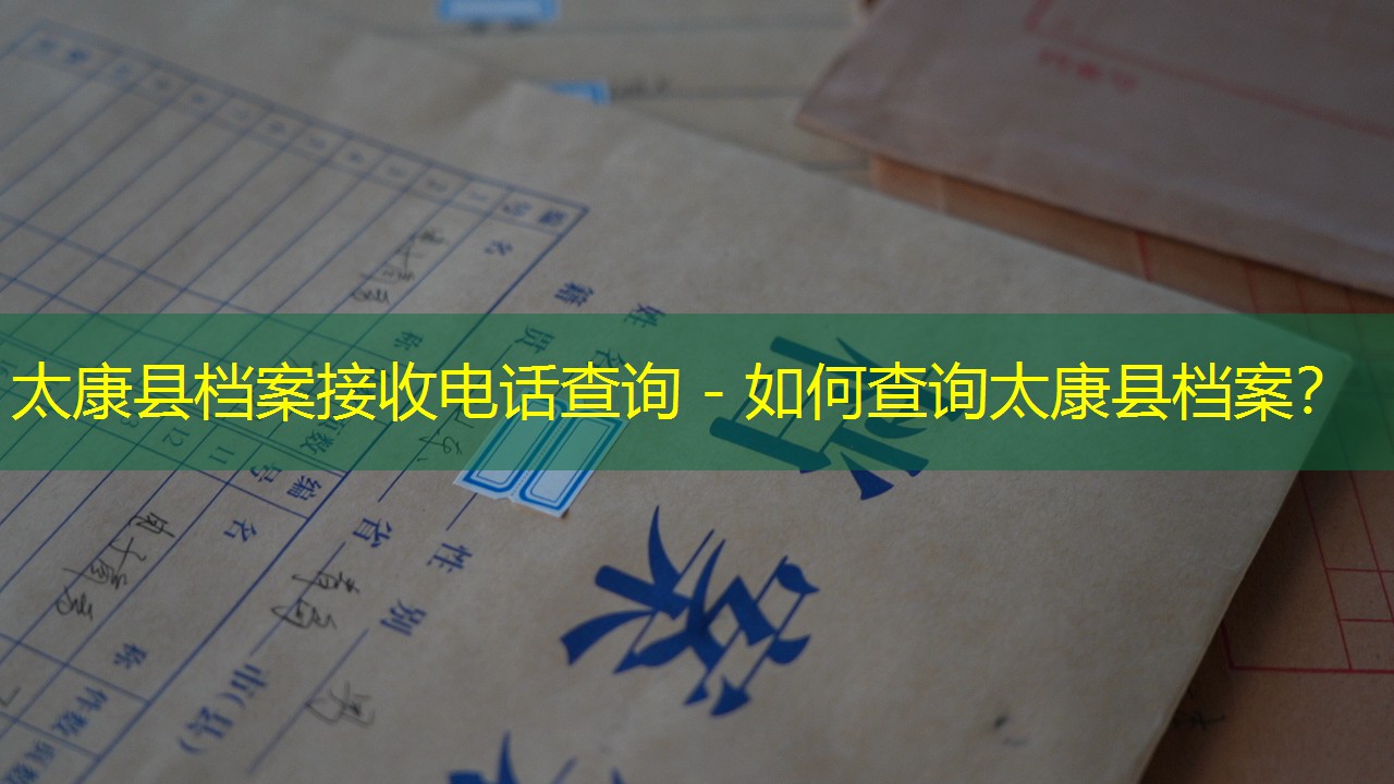 档案查询