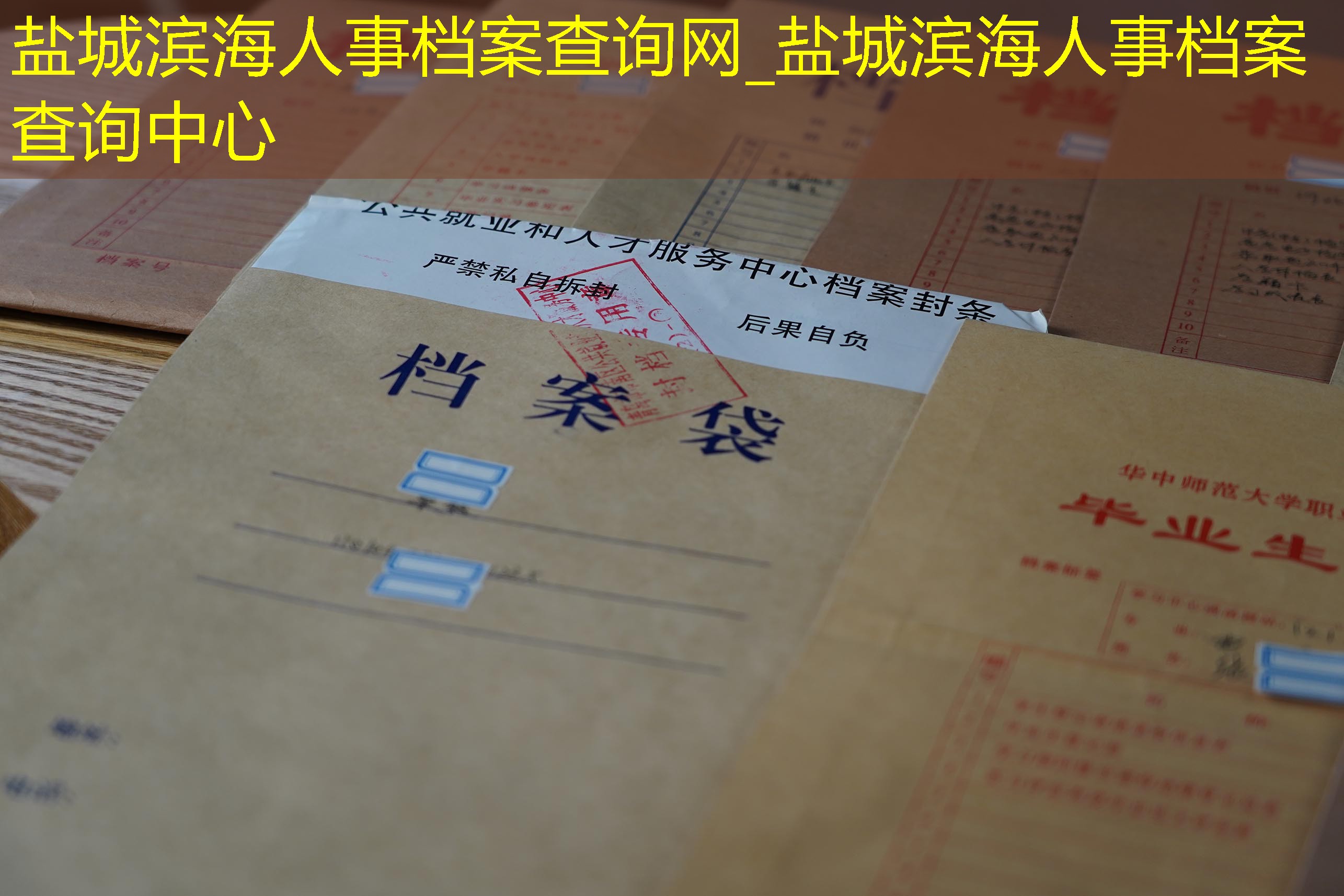 档案查询