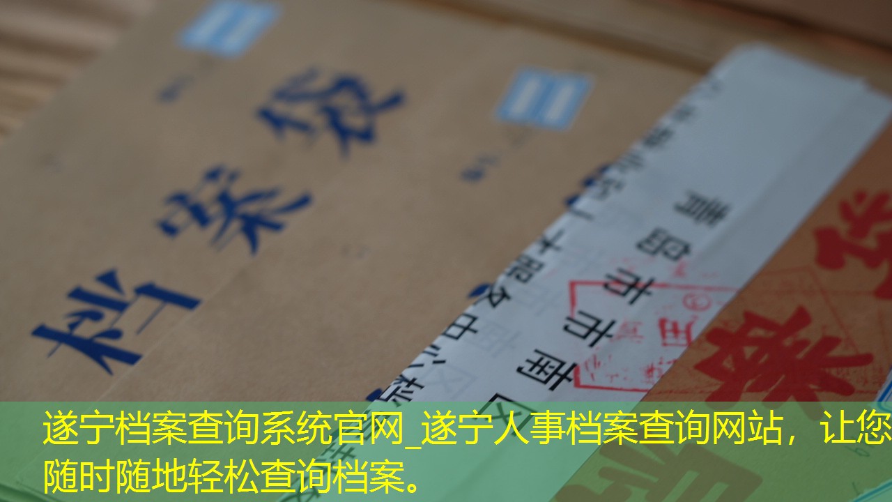 档案查询