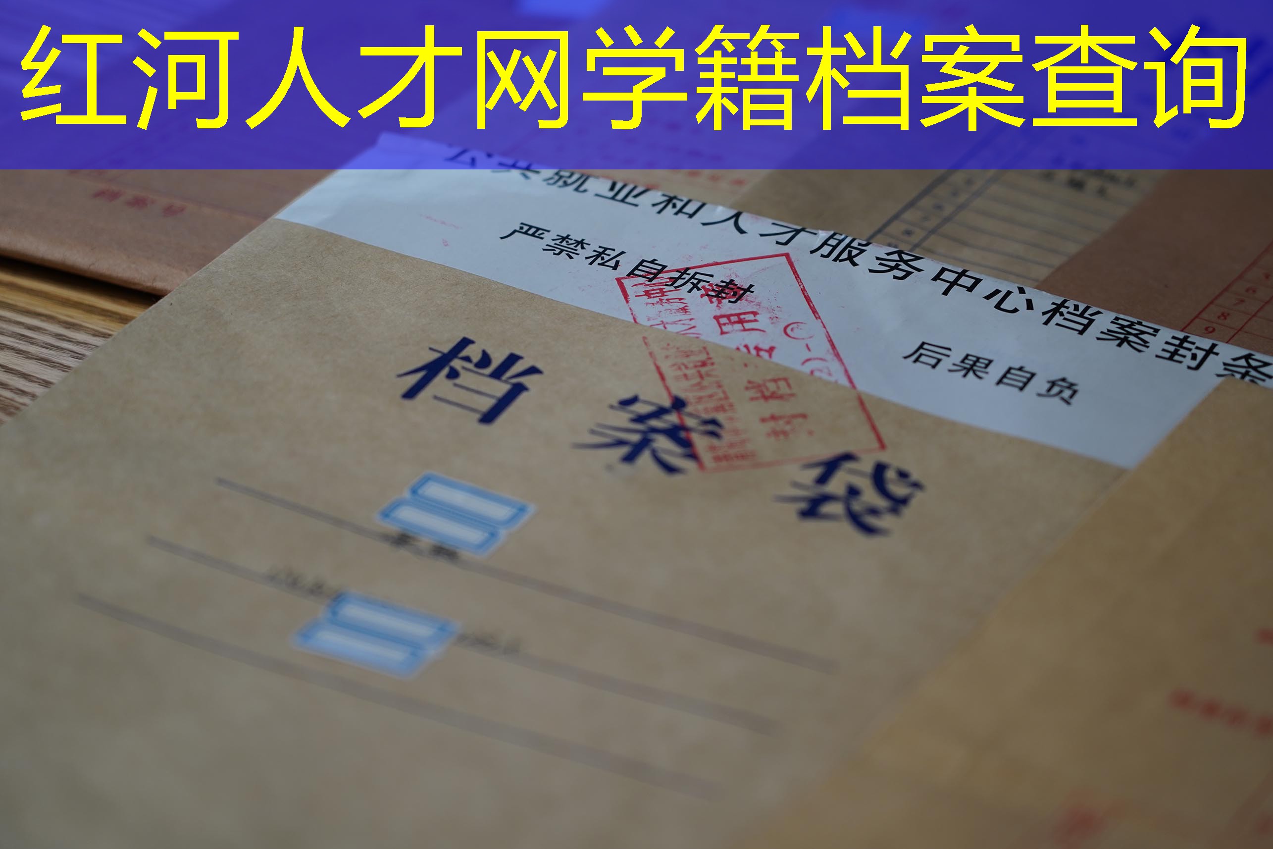 档案查询
