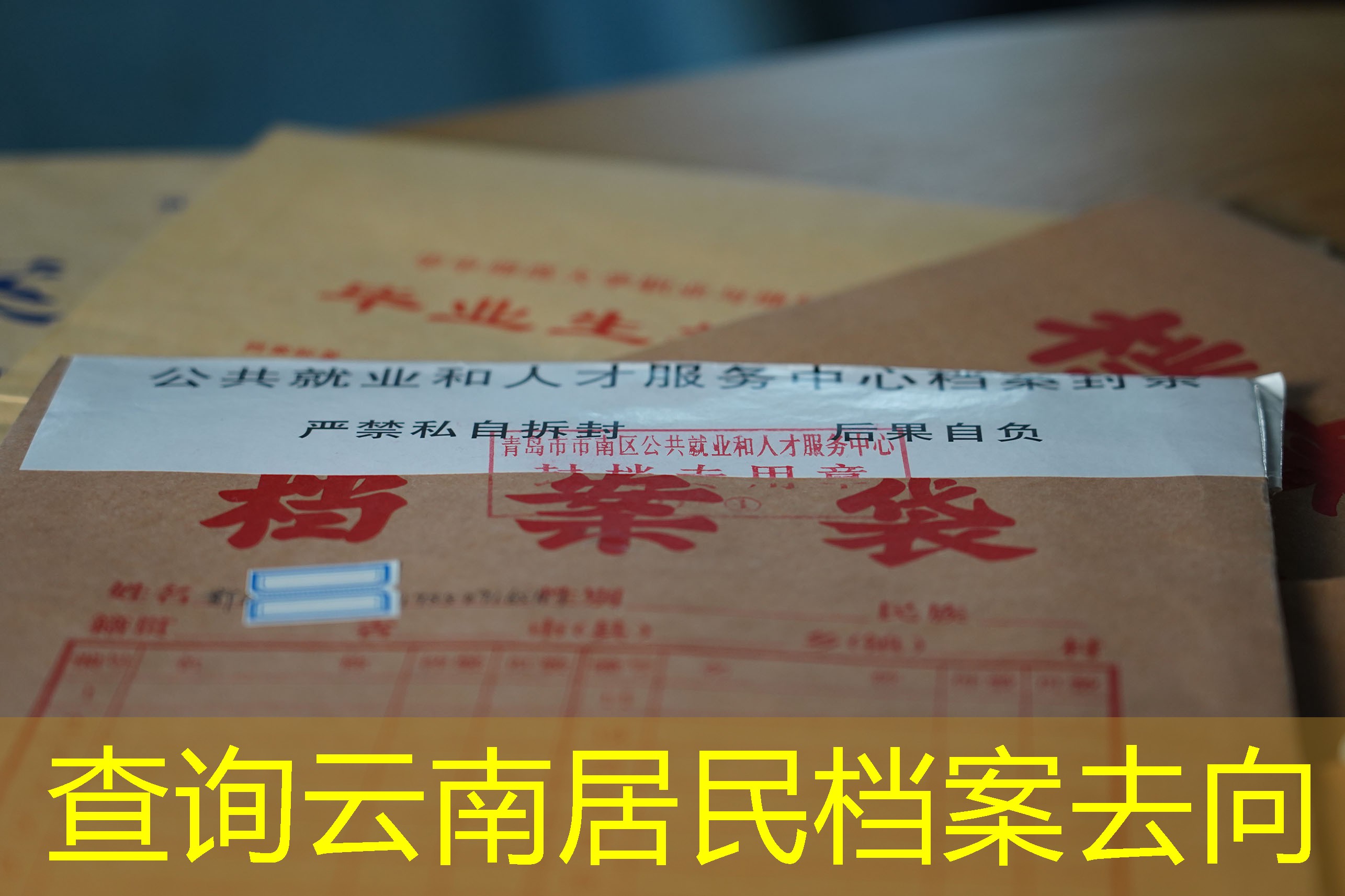 档案查询