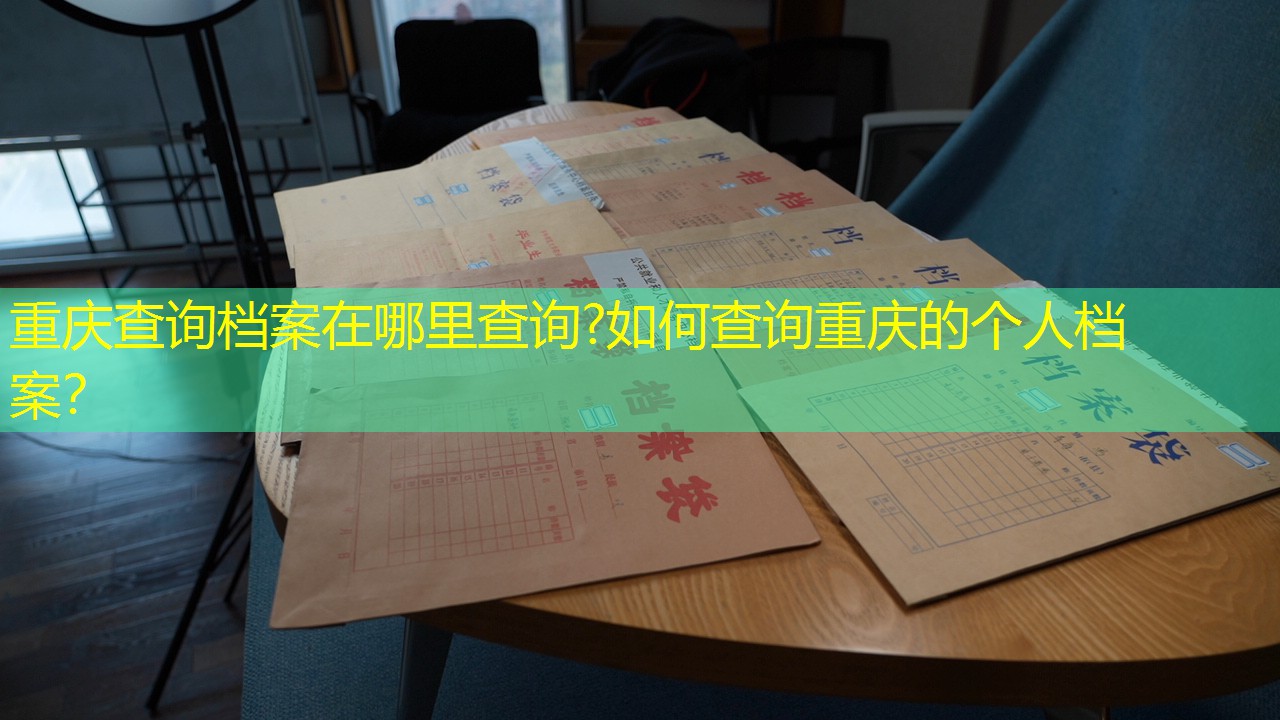 档案查询