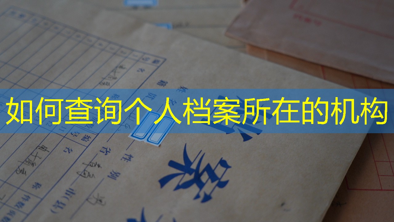 档案查询