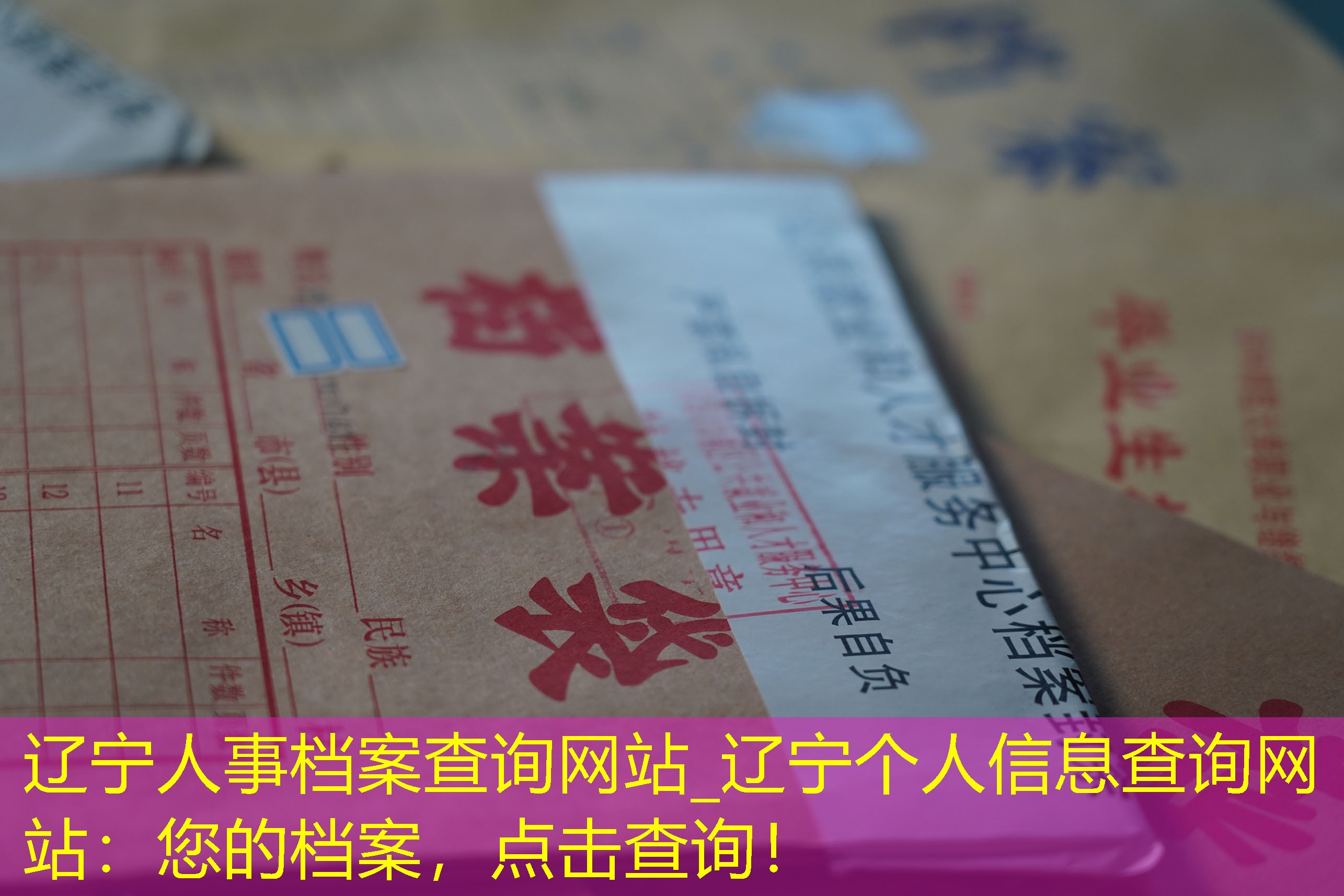 档案查询