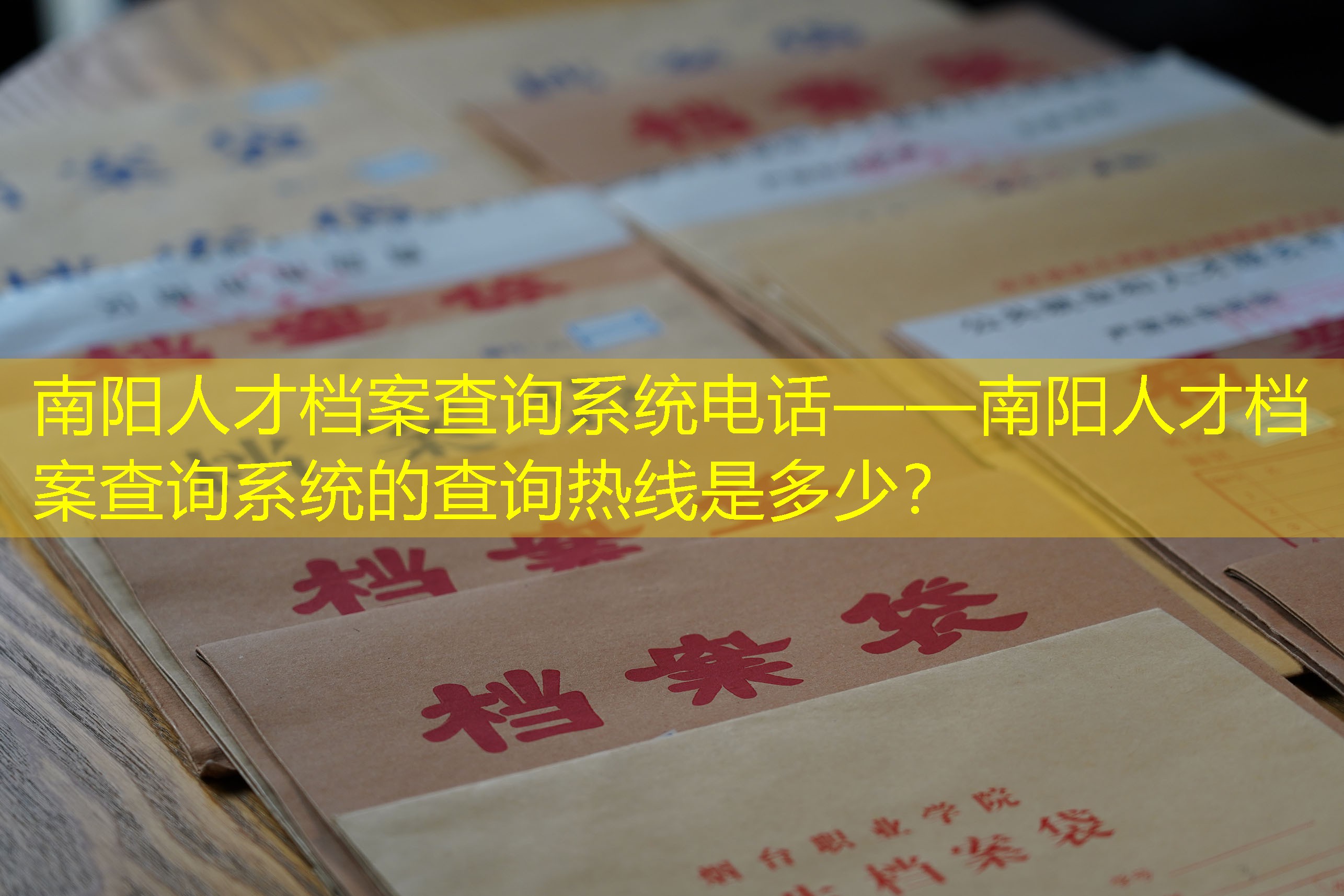 档案查询