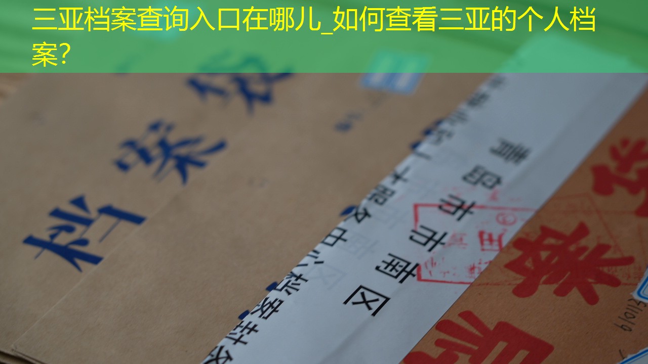 档案查询