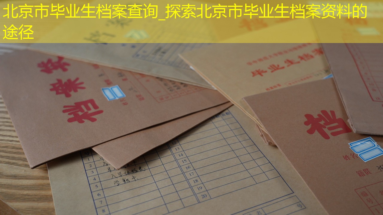档案查询