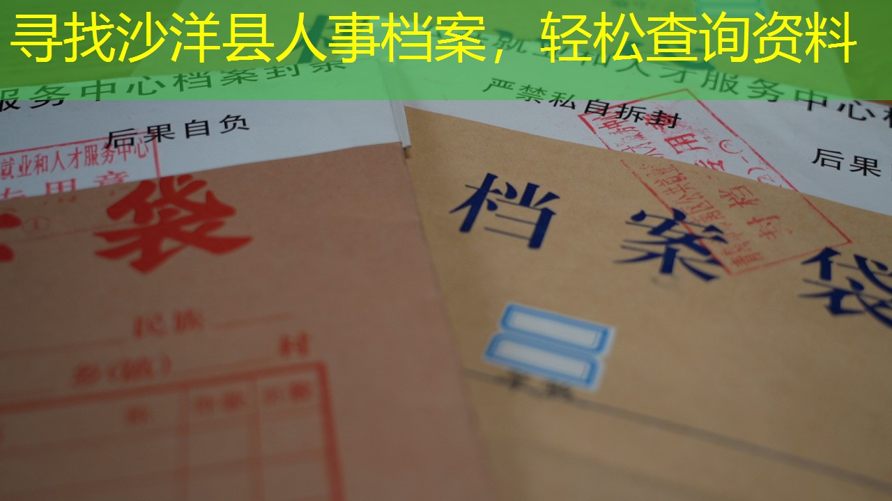 档案查询