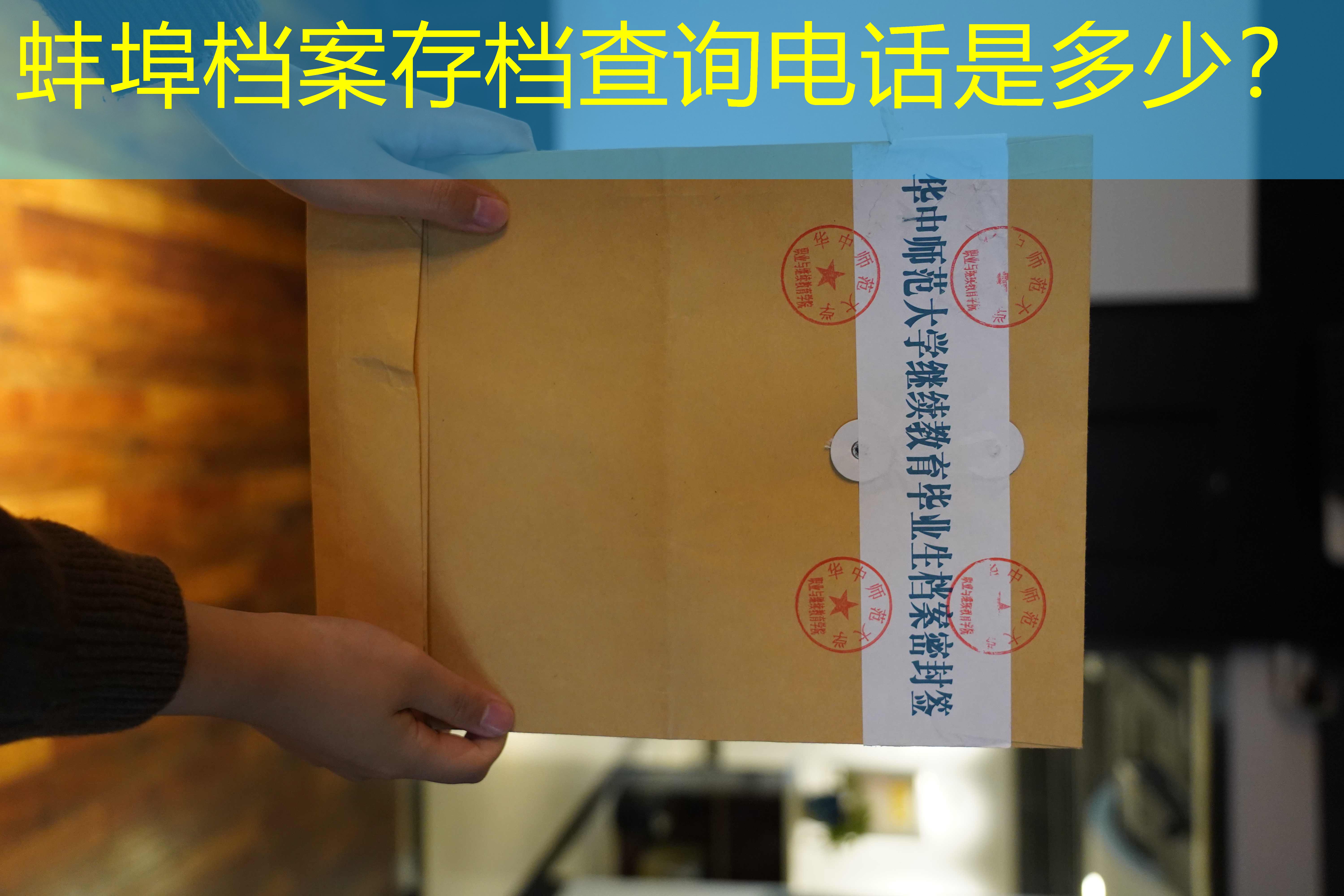 档案查询