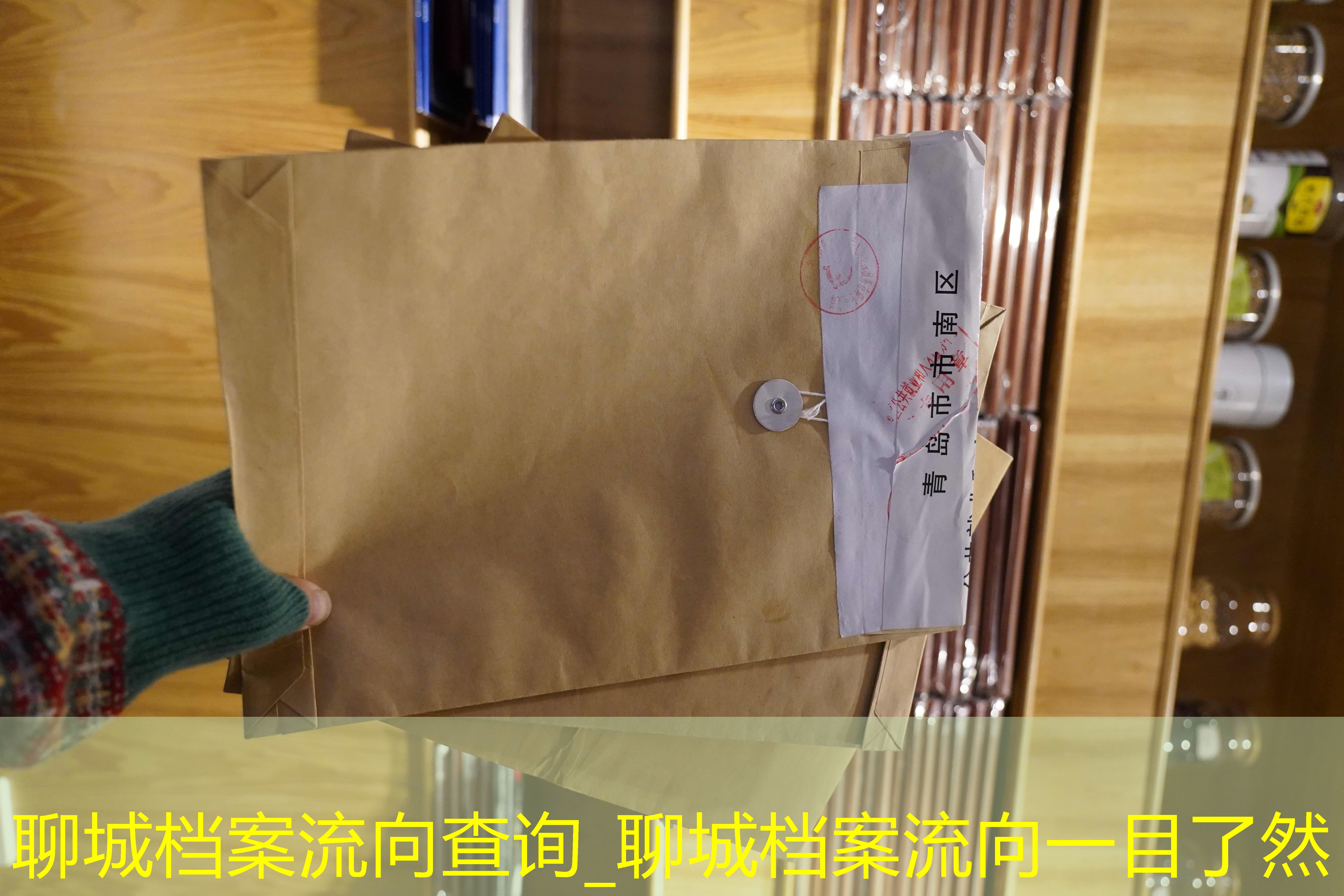 档案查询