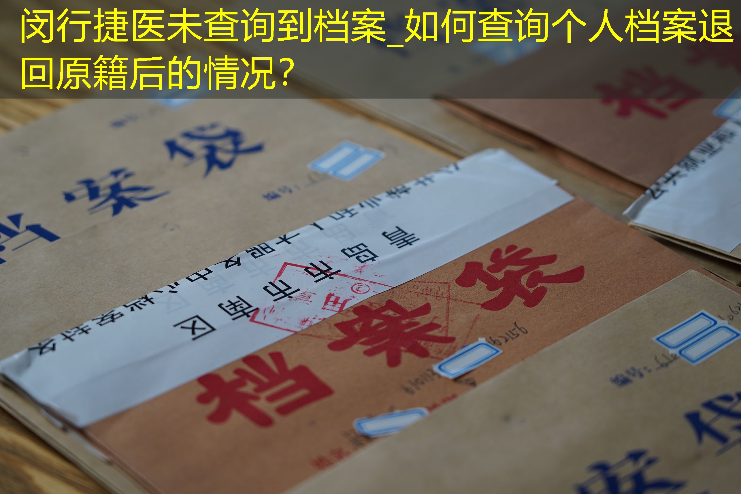档案查询