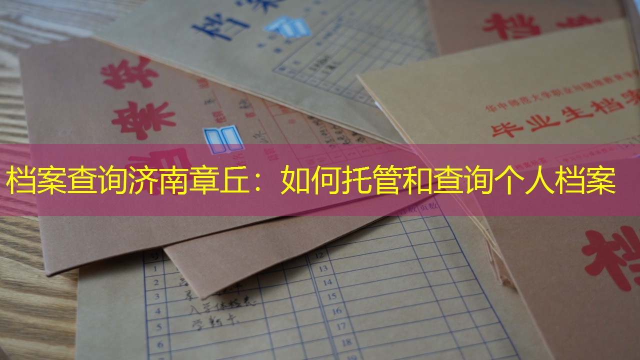 档案查询