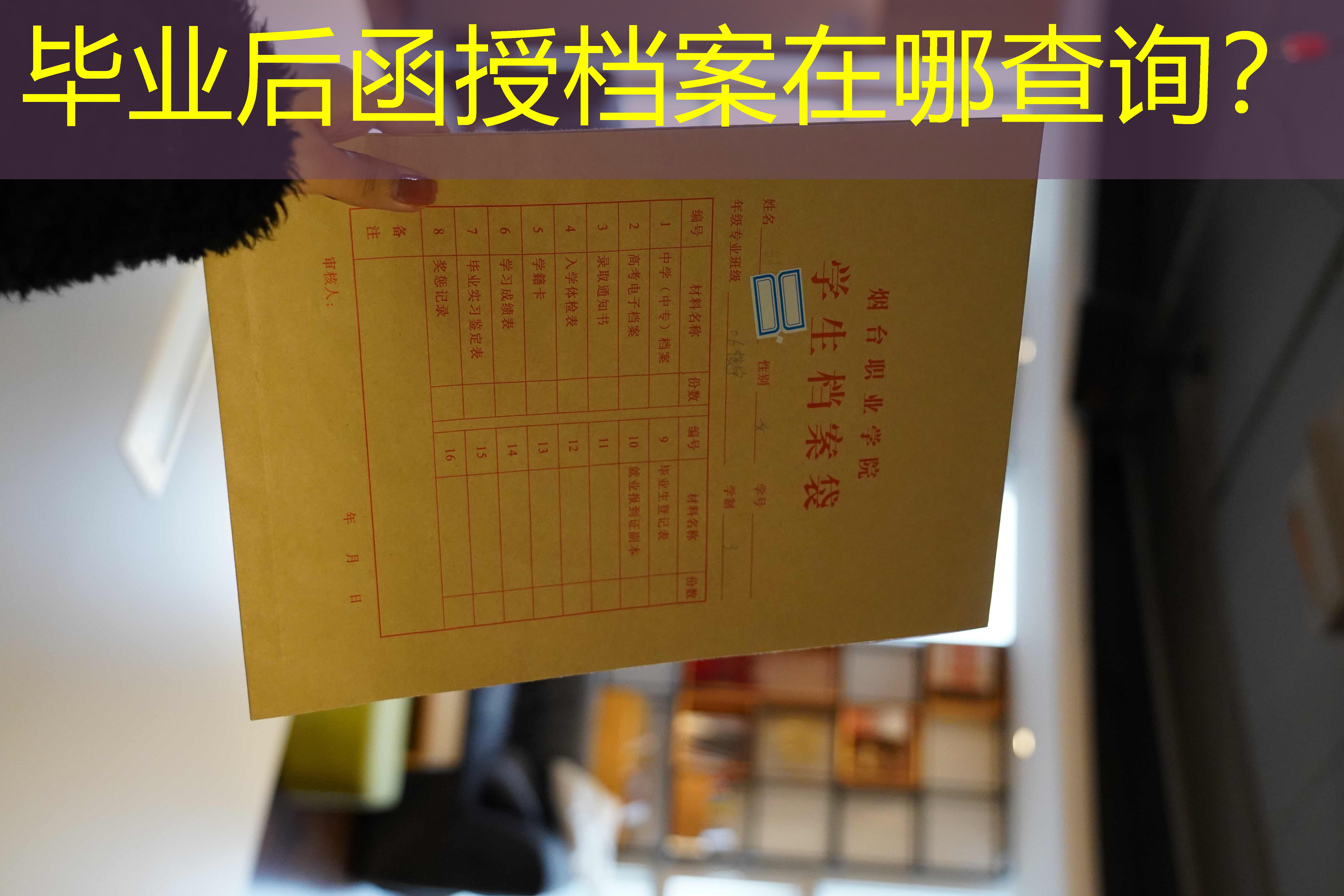 档案查询