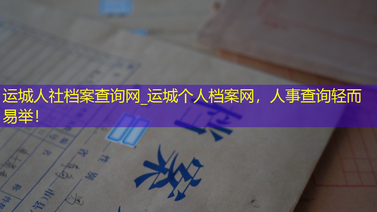 档案查询