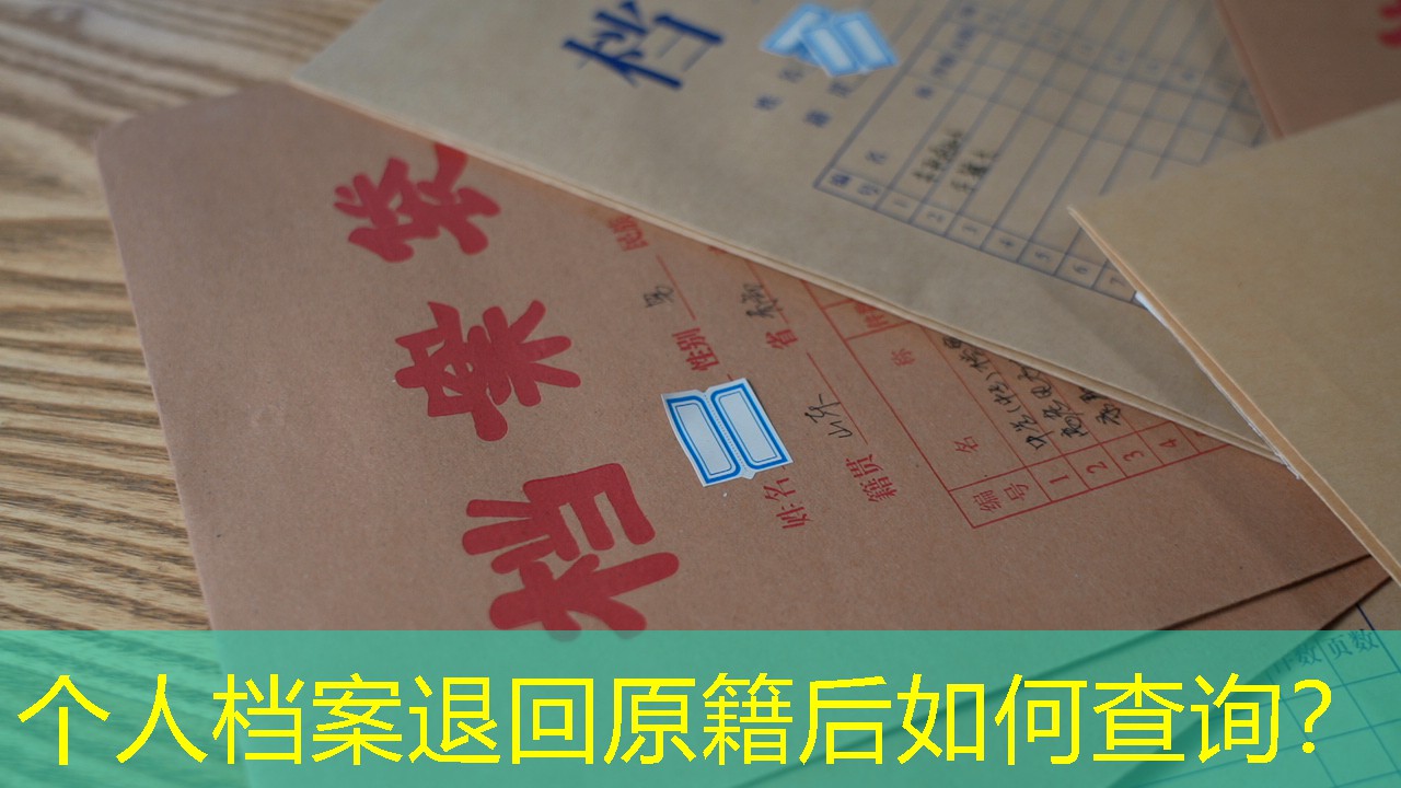 档案查询