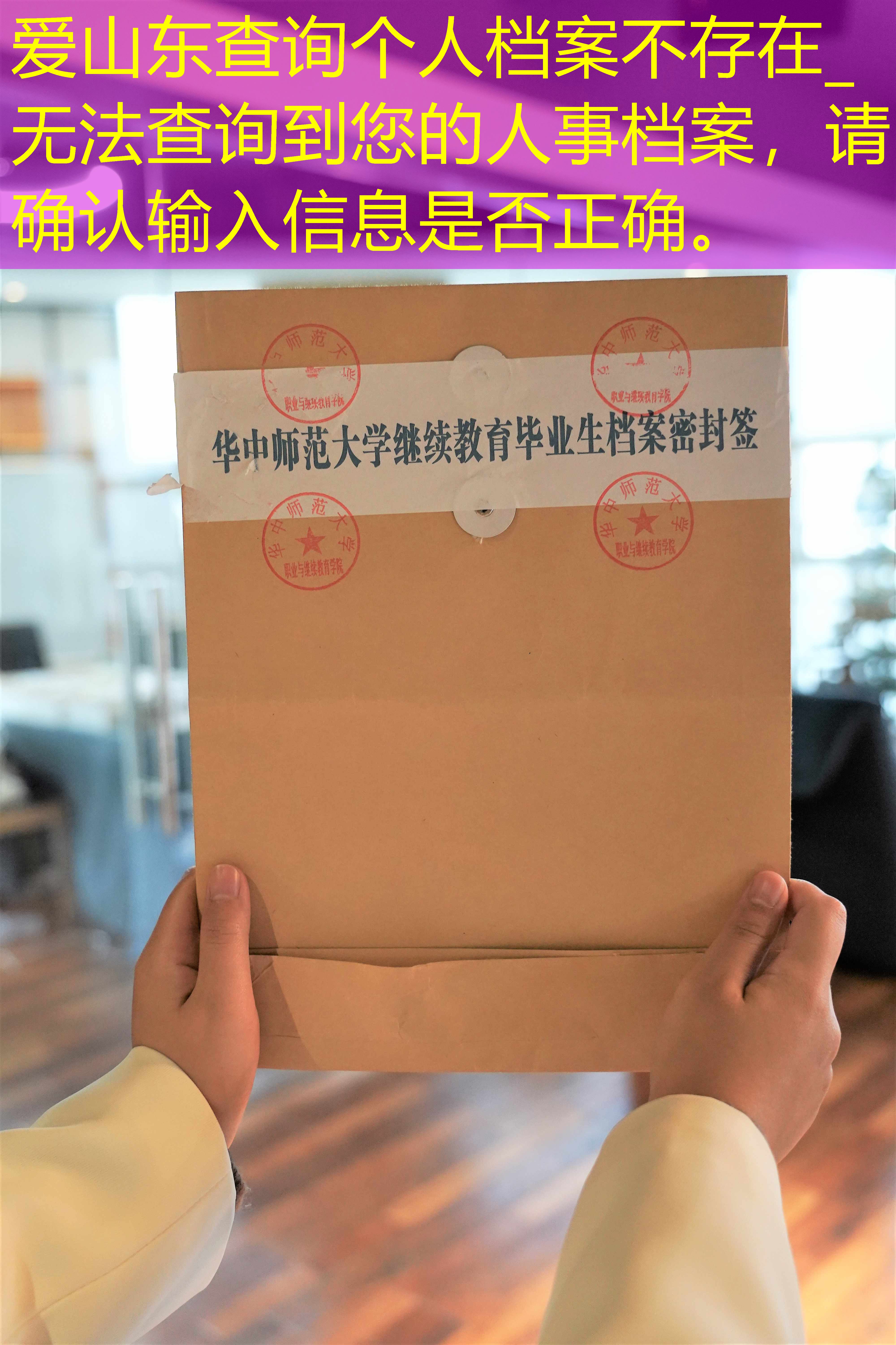 档案查询