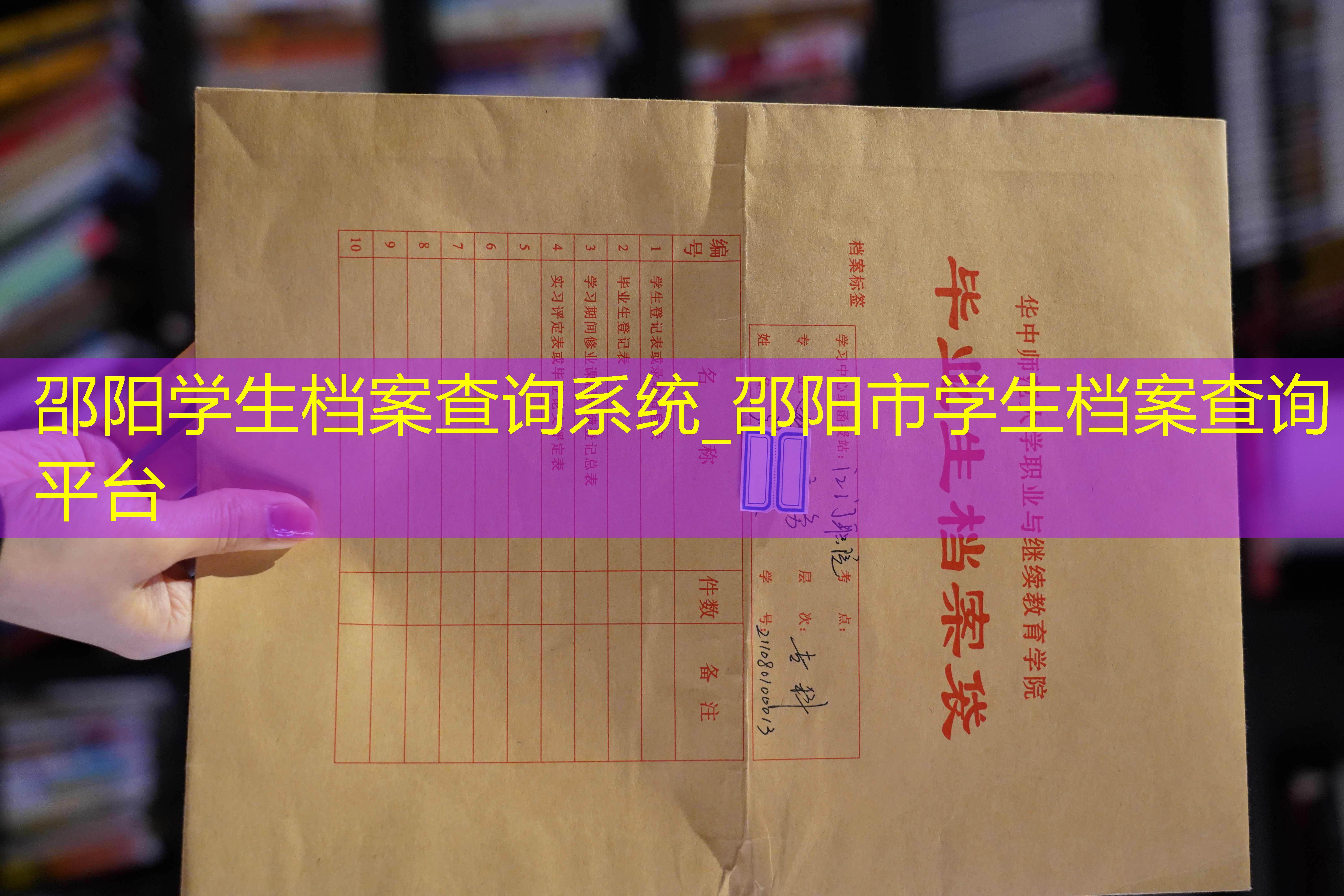 档案查询