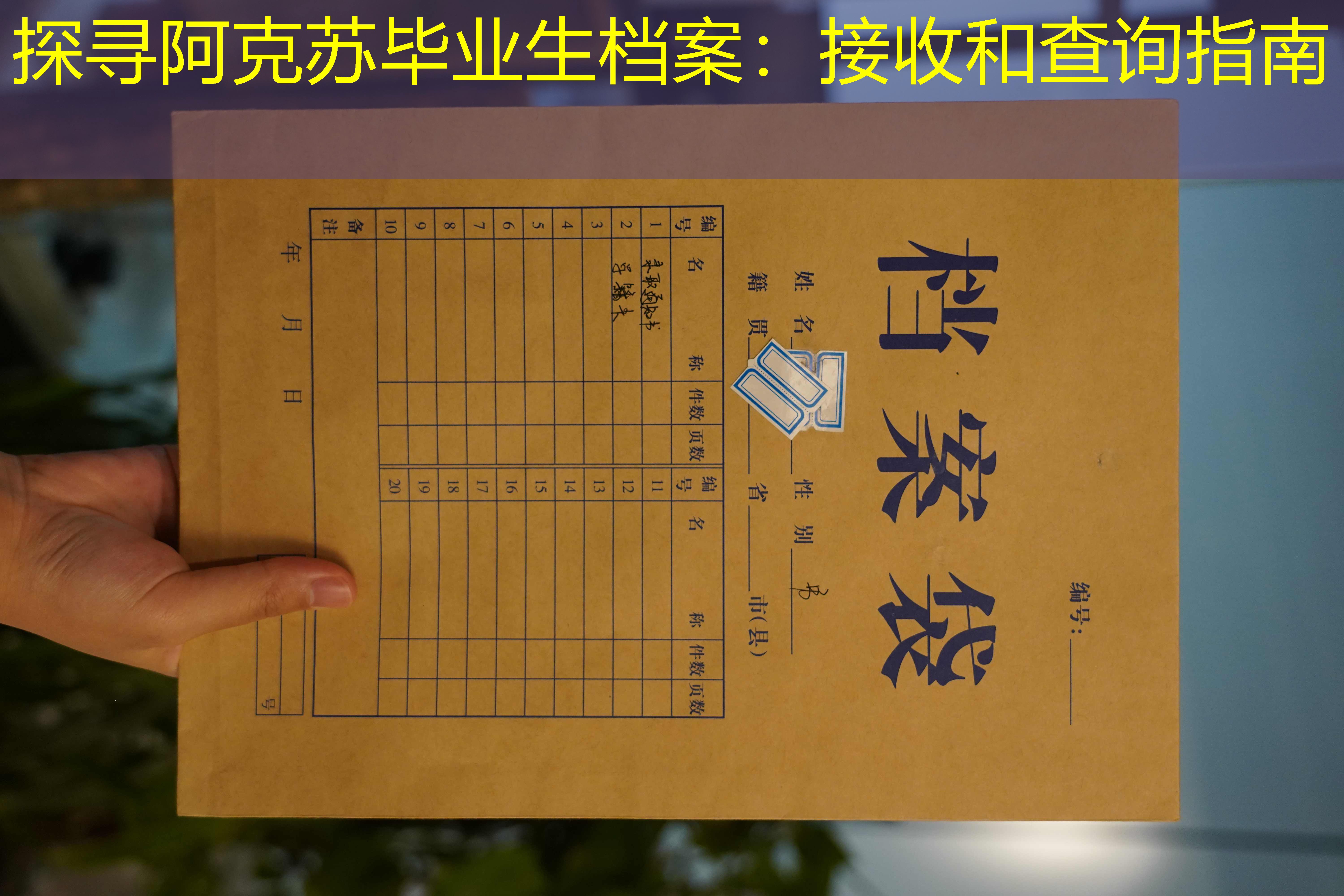 档案查询