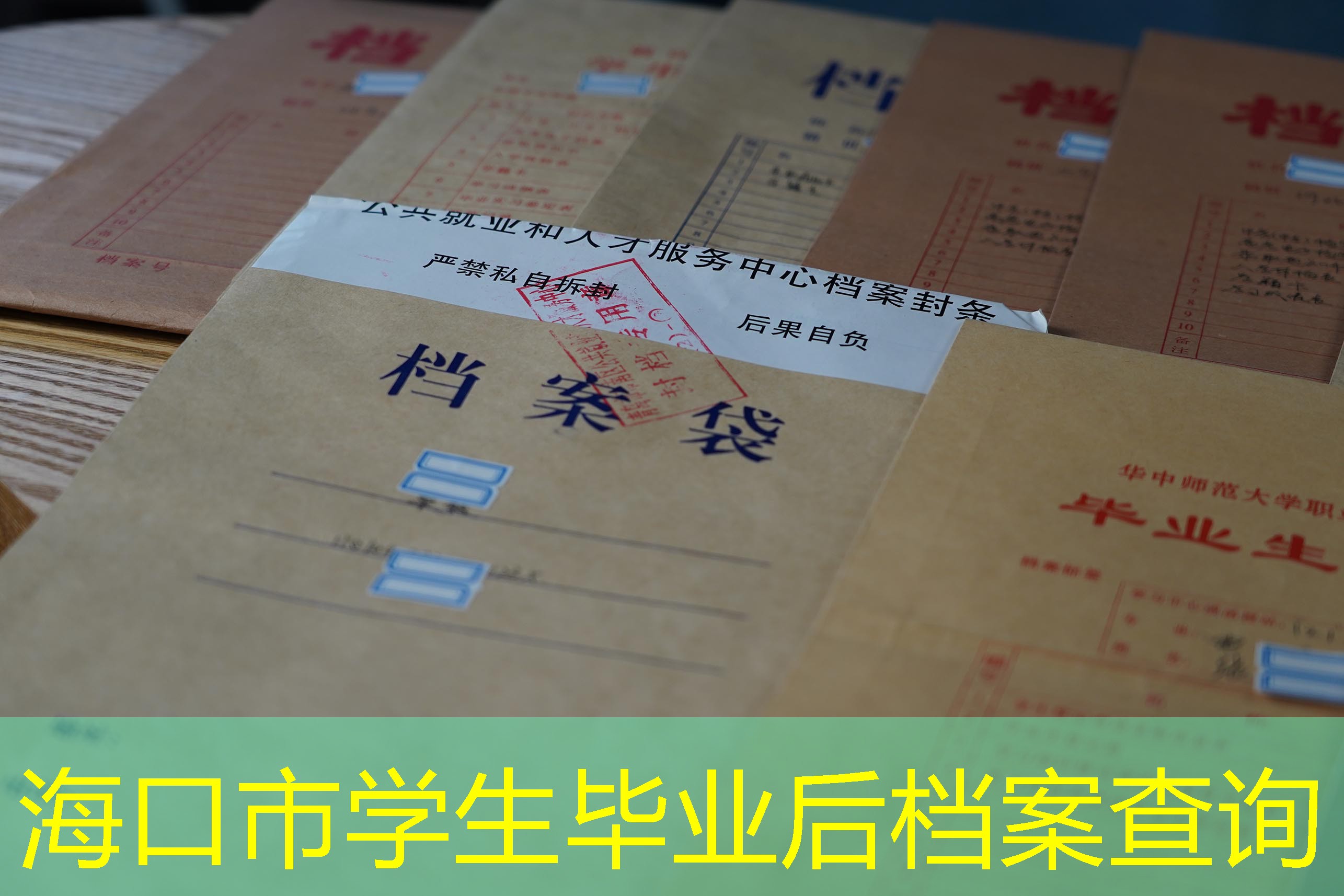 档案查询