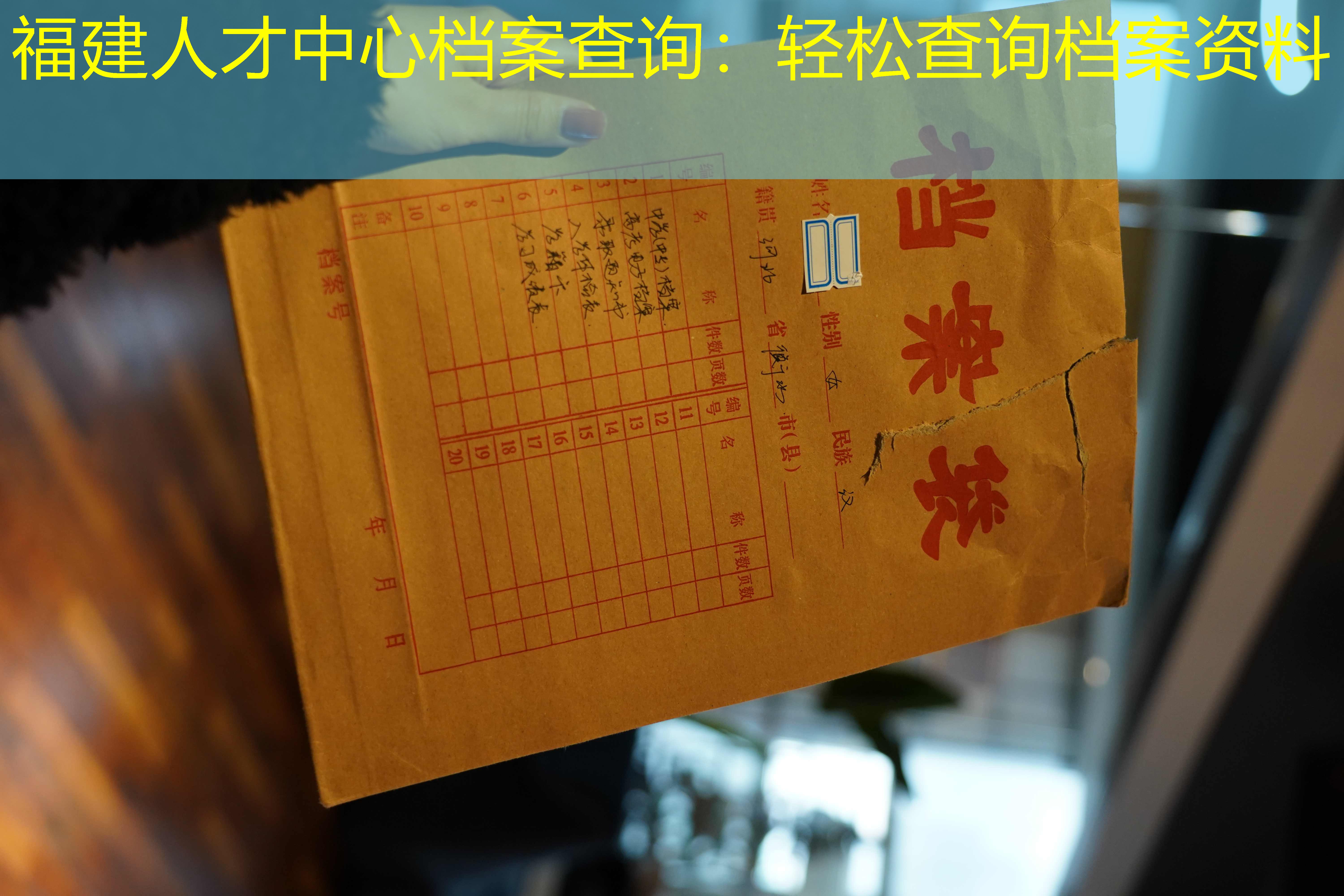 档案查询