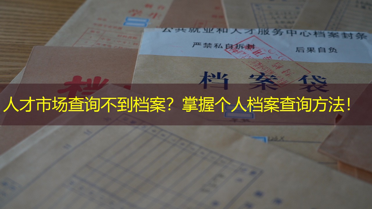 档案查询