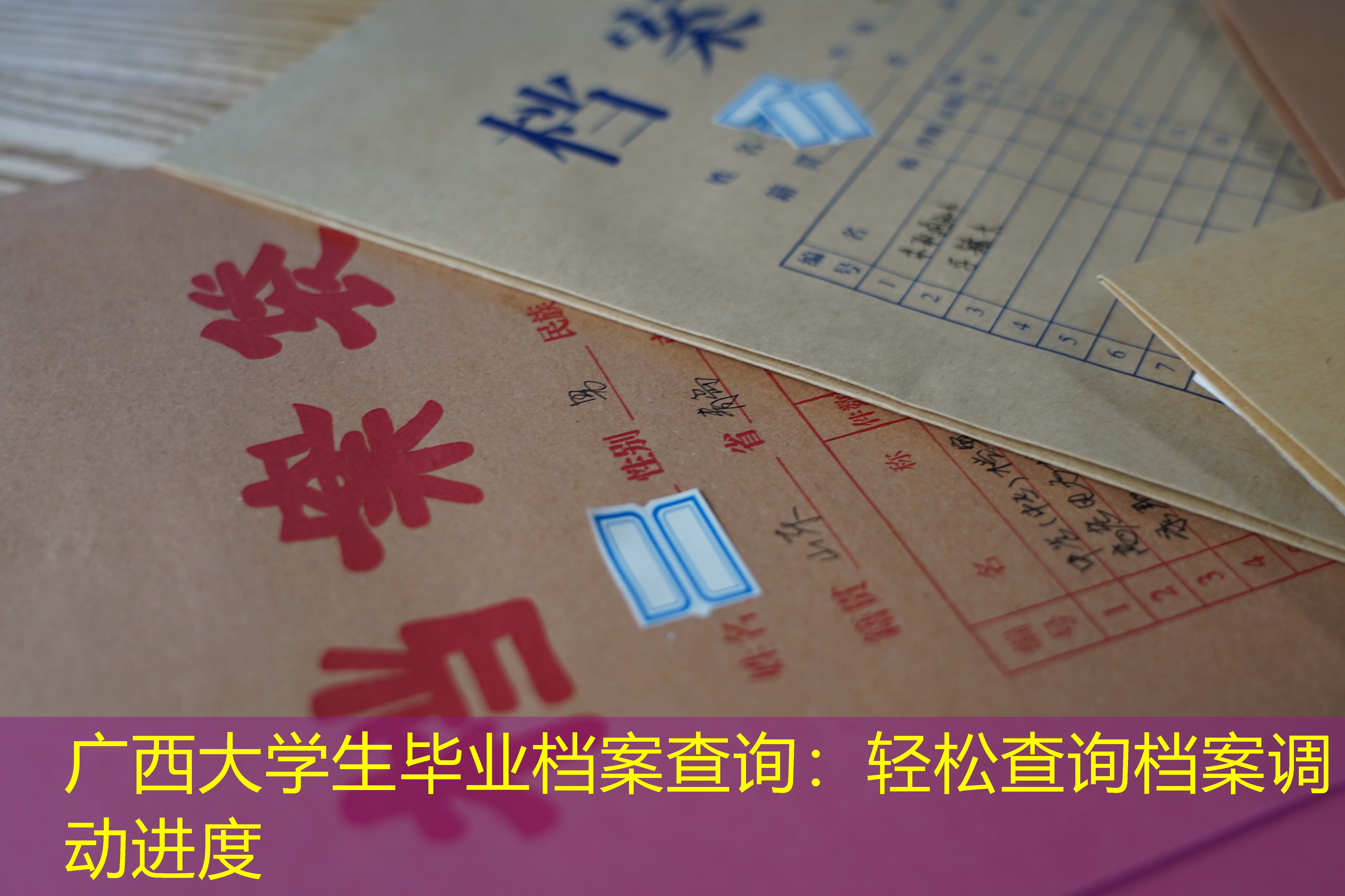 档案查询