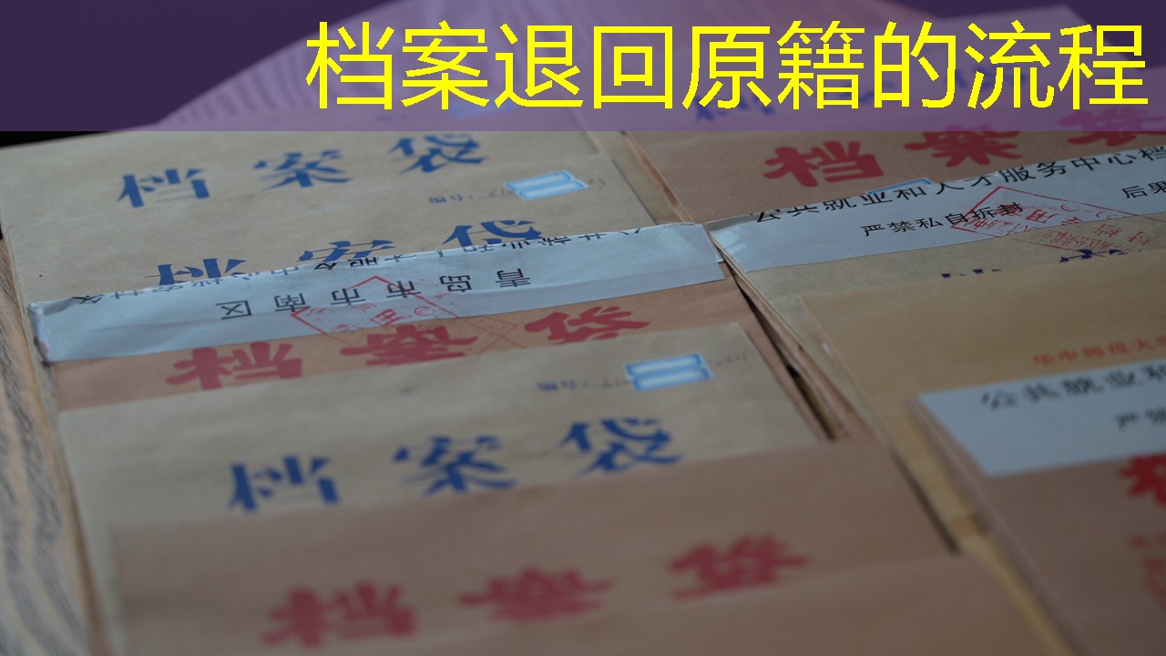 档案查询
