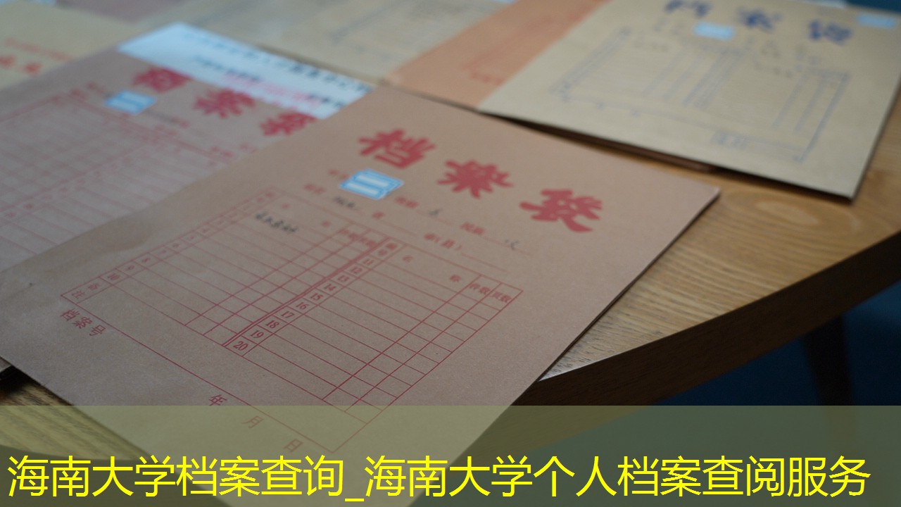 档案查询