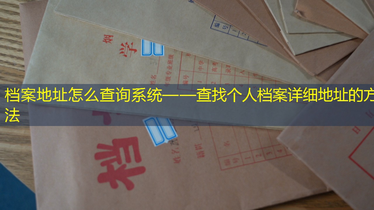 档案查询