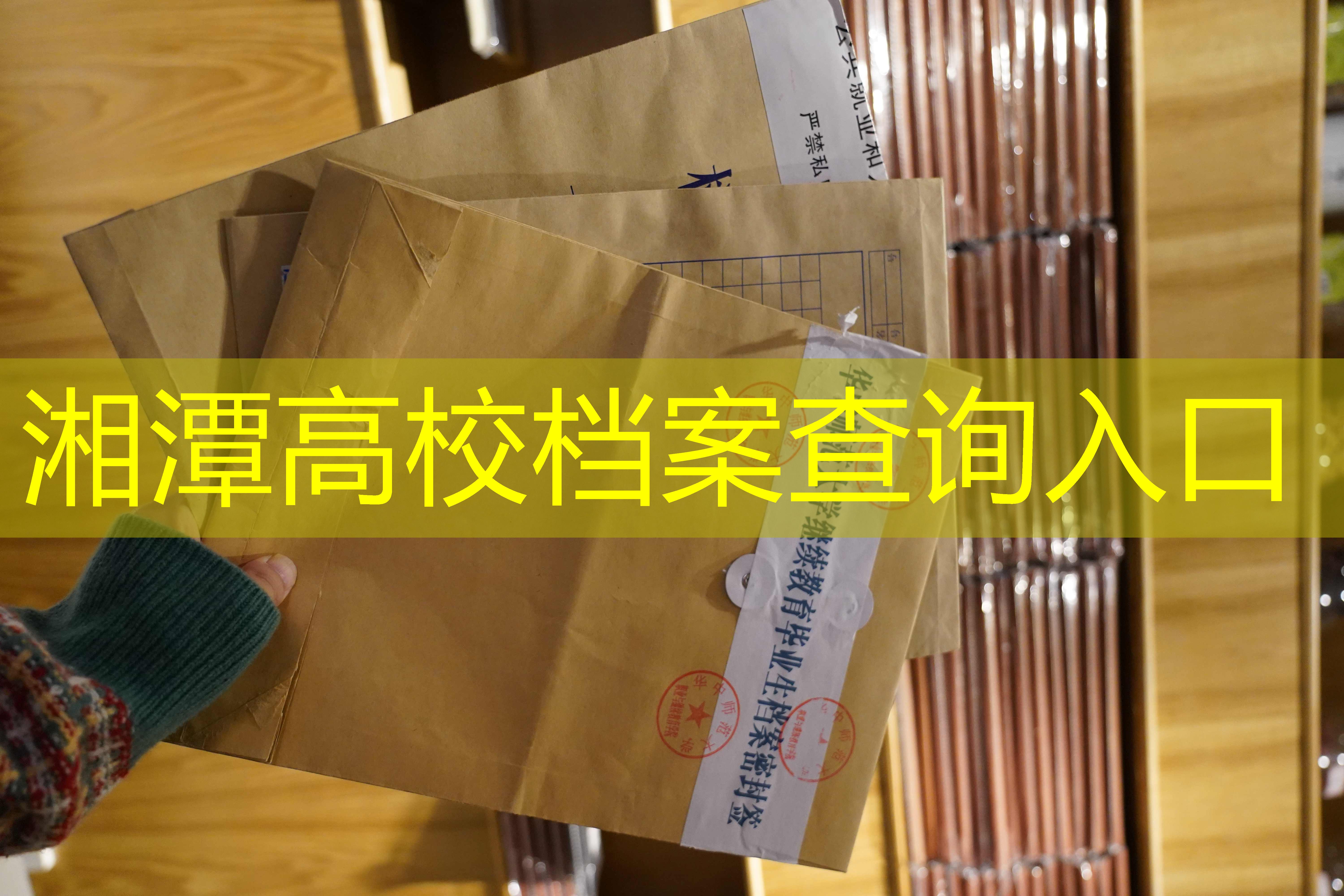档案查询