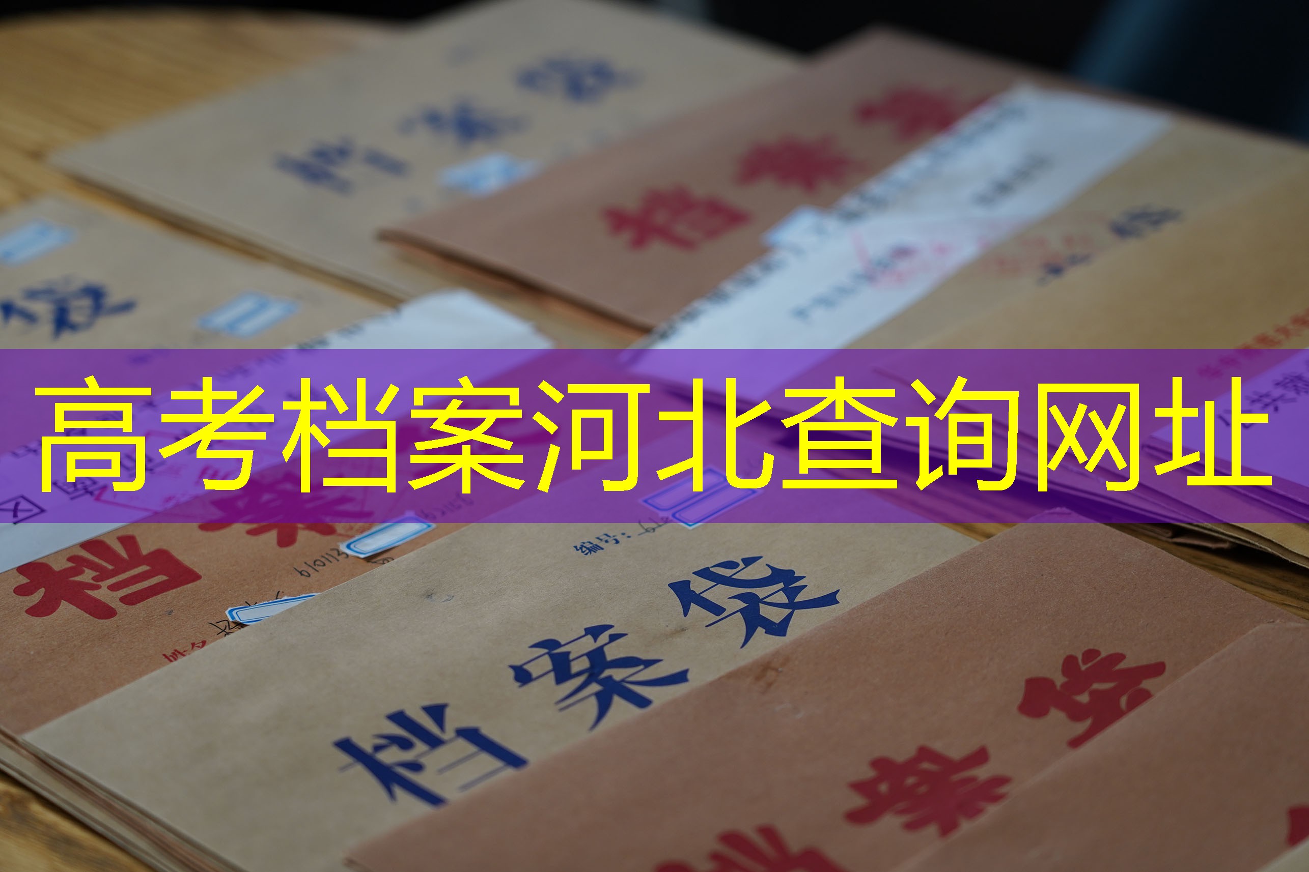 档案查询