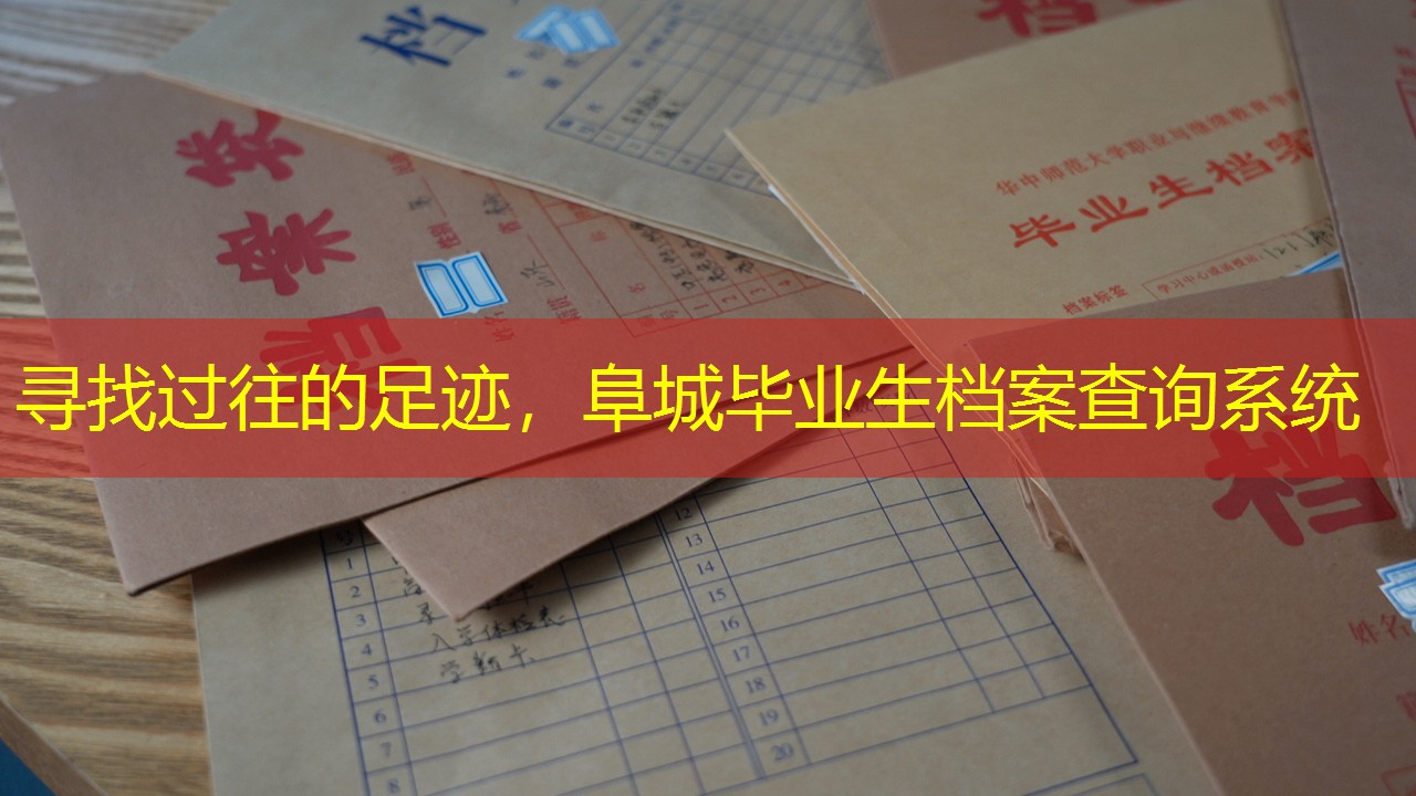 档案查询