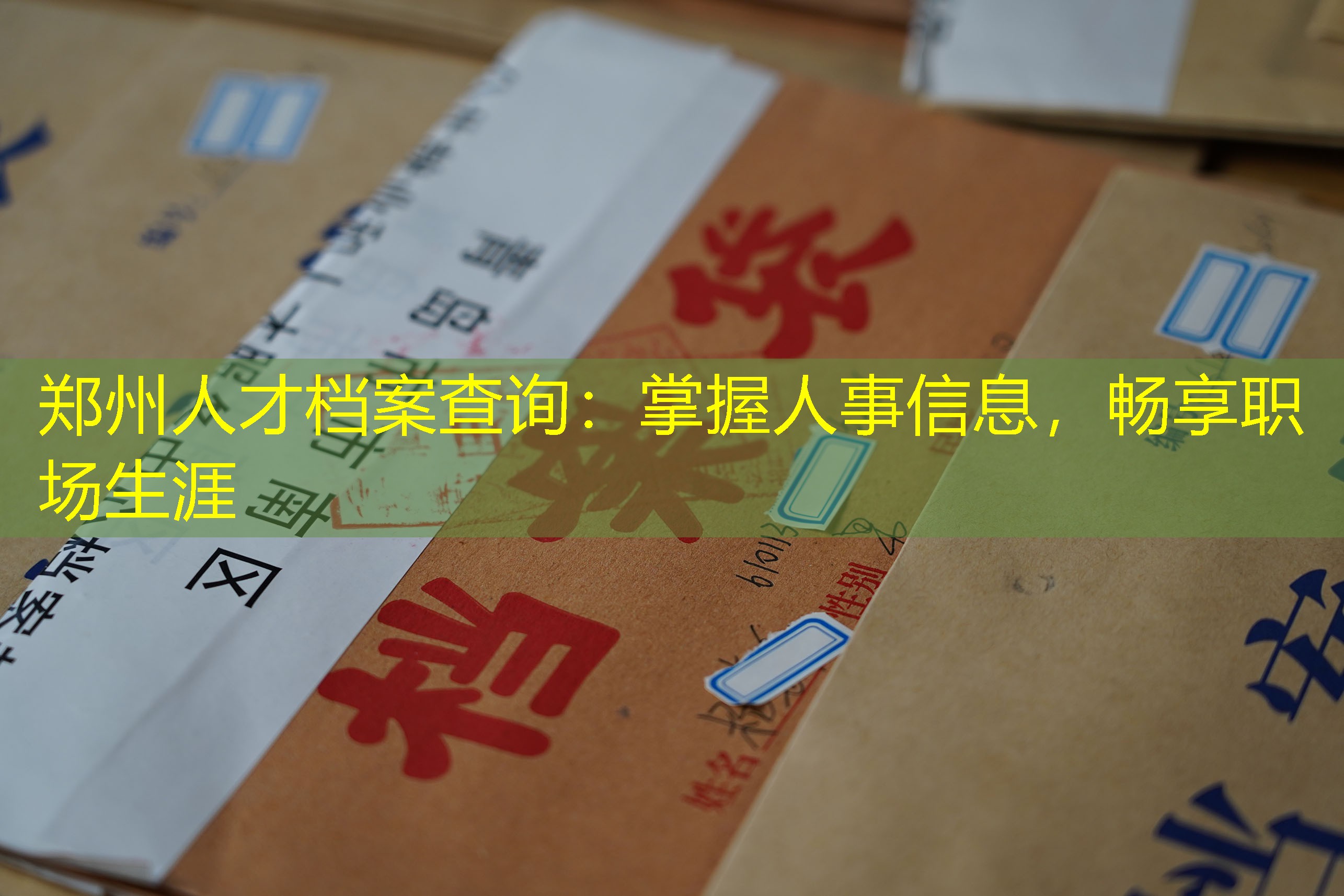 档案查询