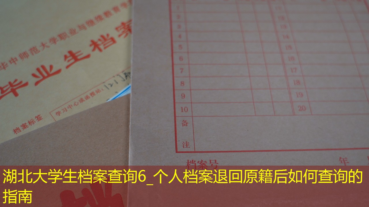档案查询