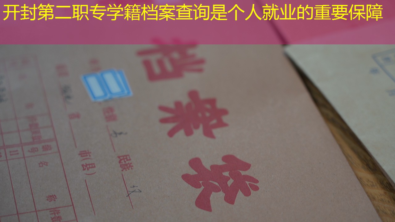 档案查询