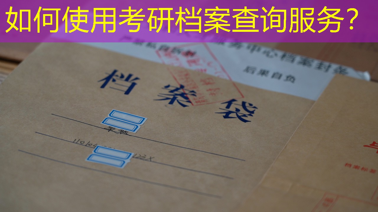 档案查询