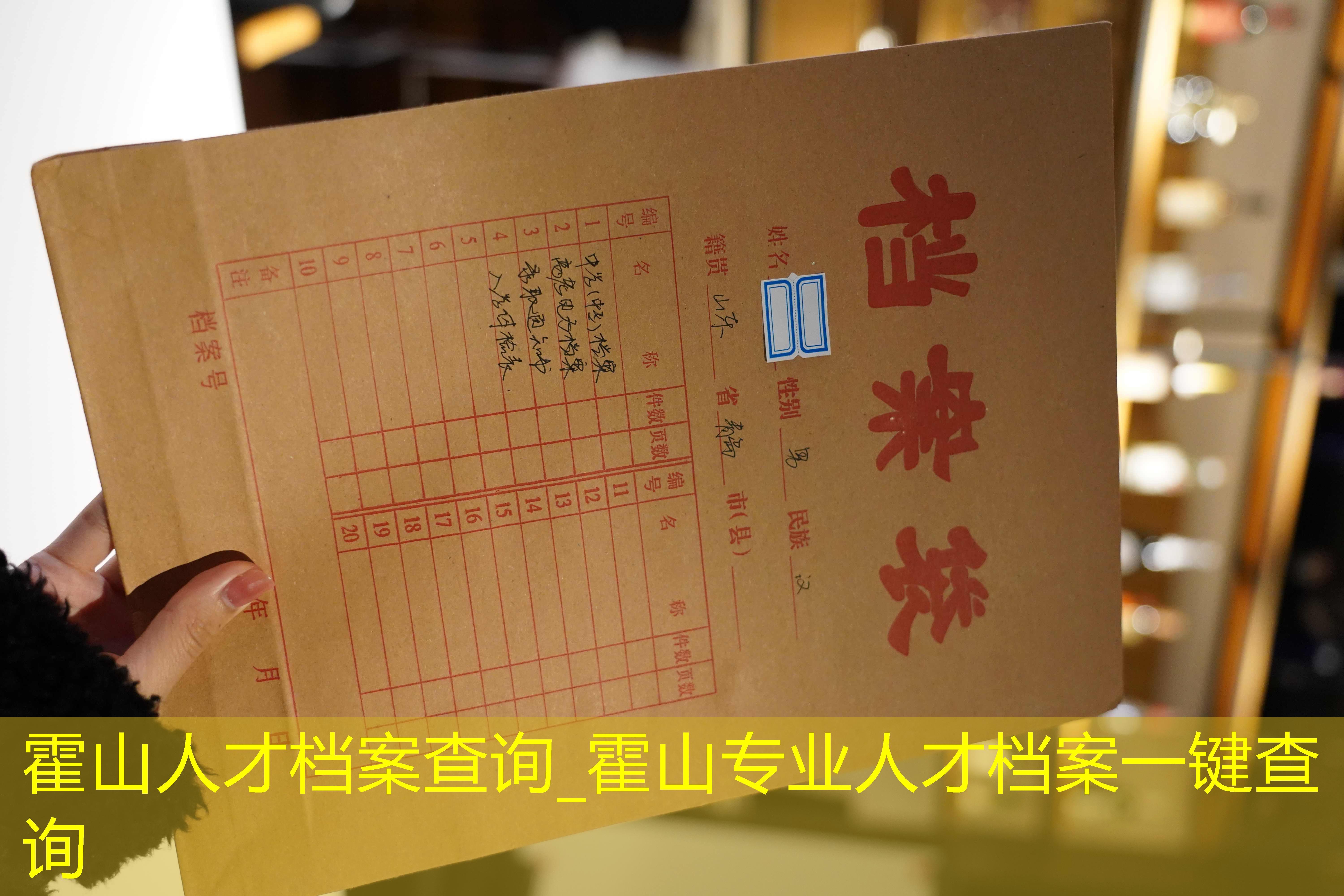 档案查询