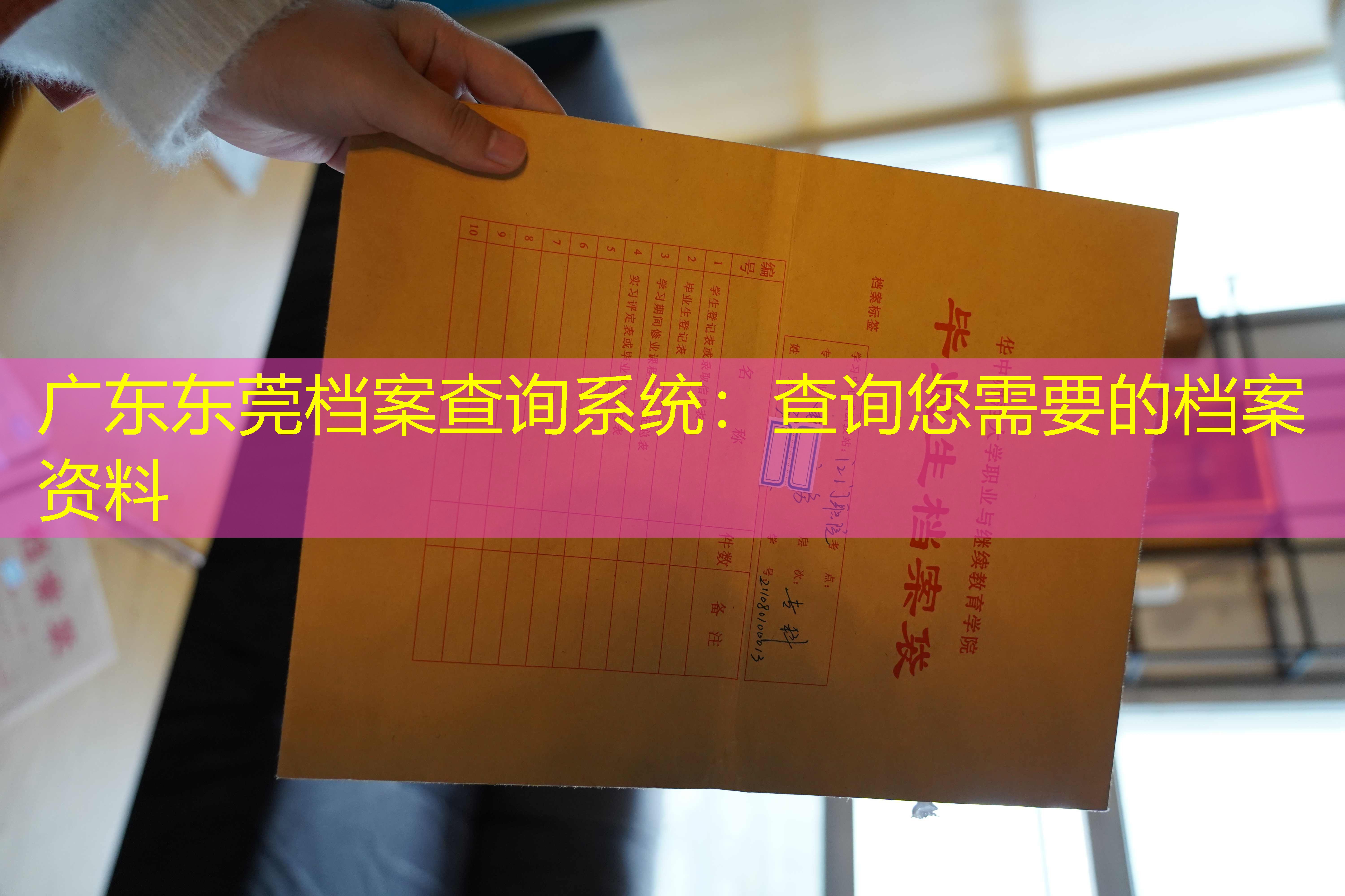 档案查询